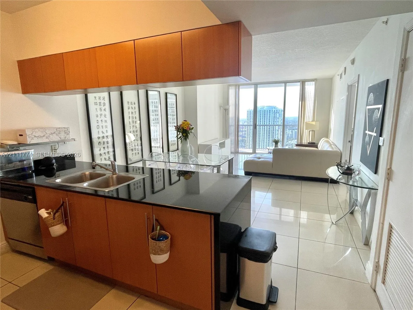 1750 N Bayshore Drive #3911