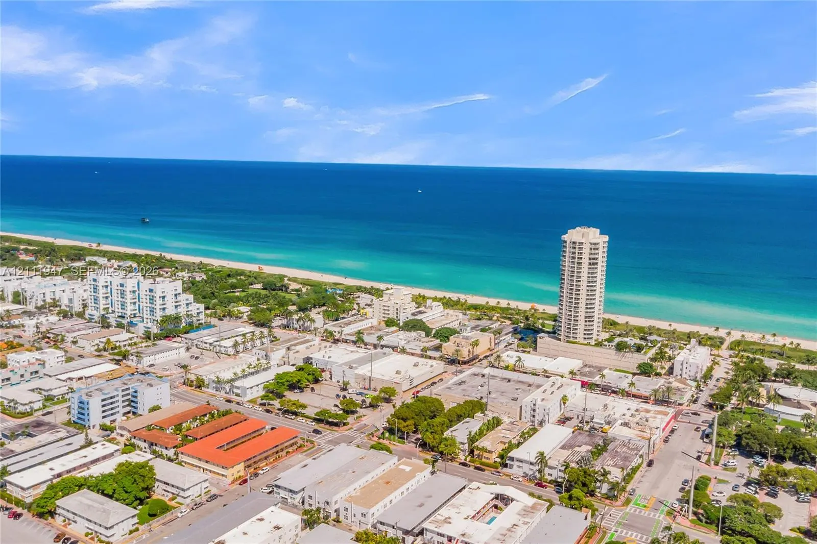 7300 Wayne Avenue #210