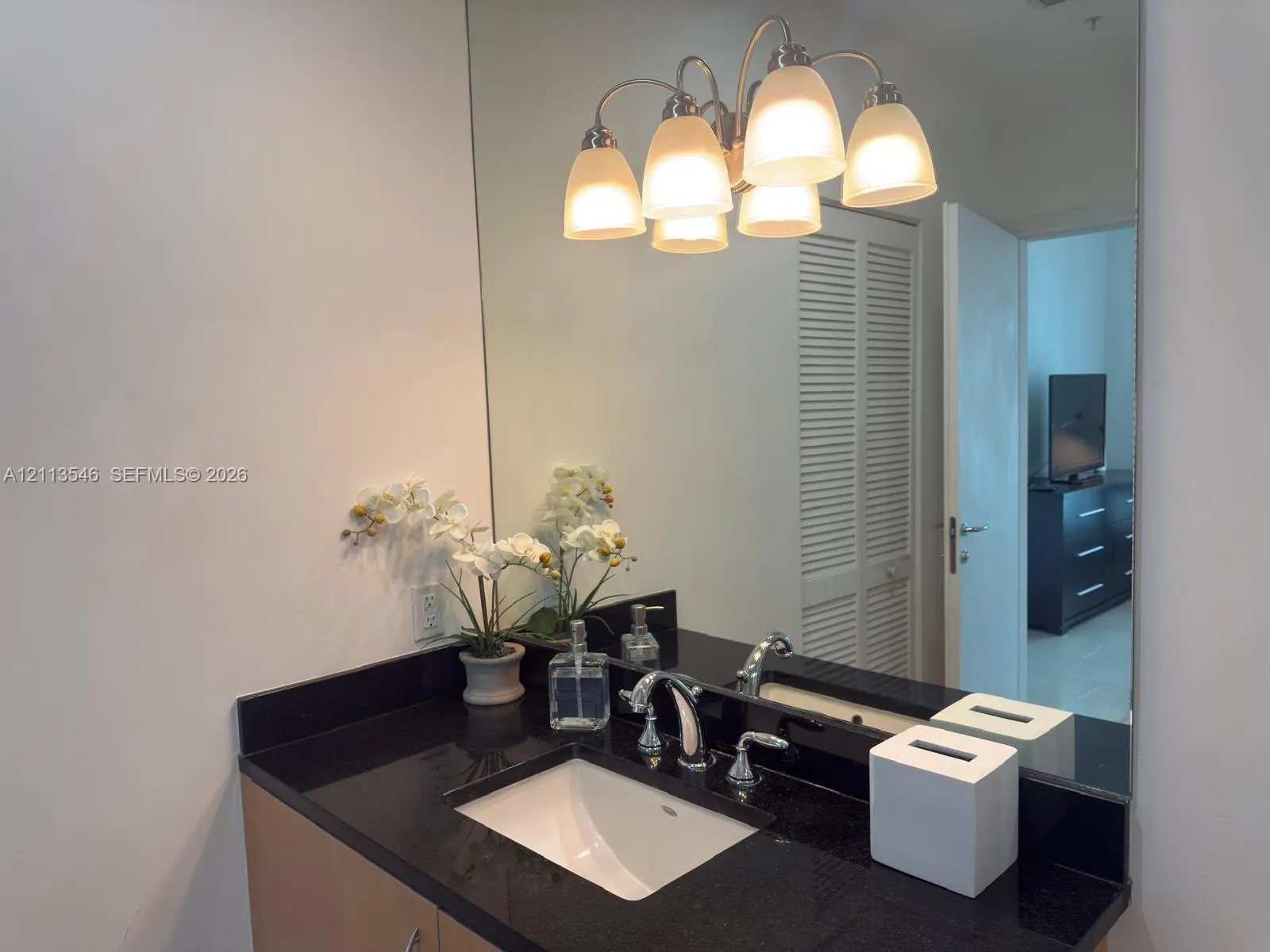 300 S Biscayne Bkvd #3809