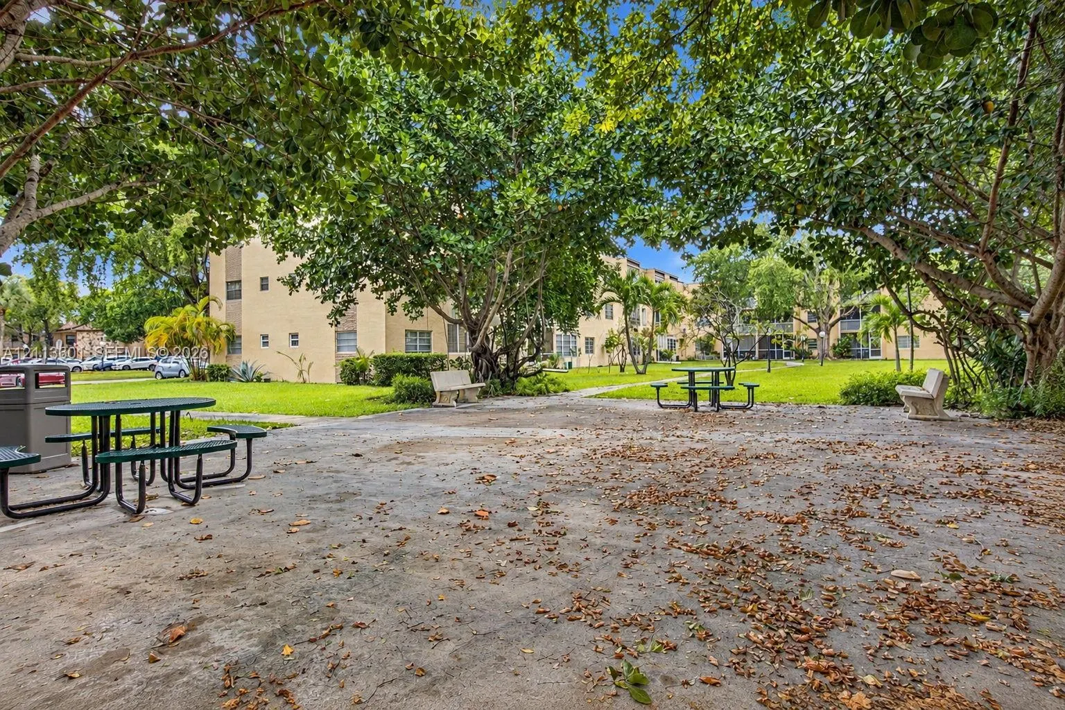100 Ashbury Road #204