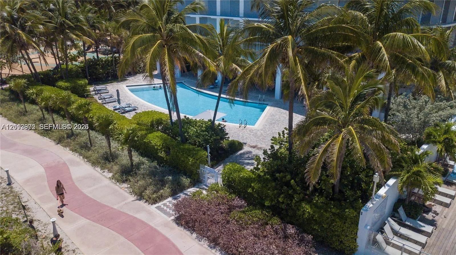 6515 Collins Avenue #1609