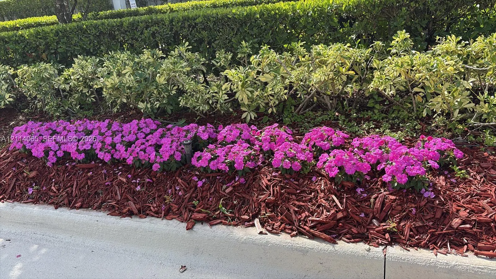 7184 NW 103rd Path