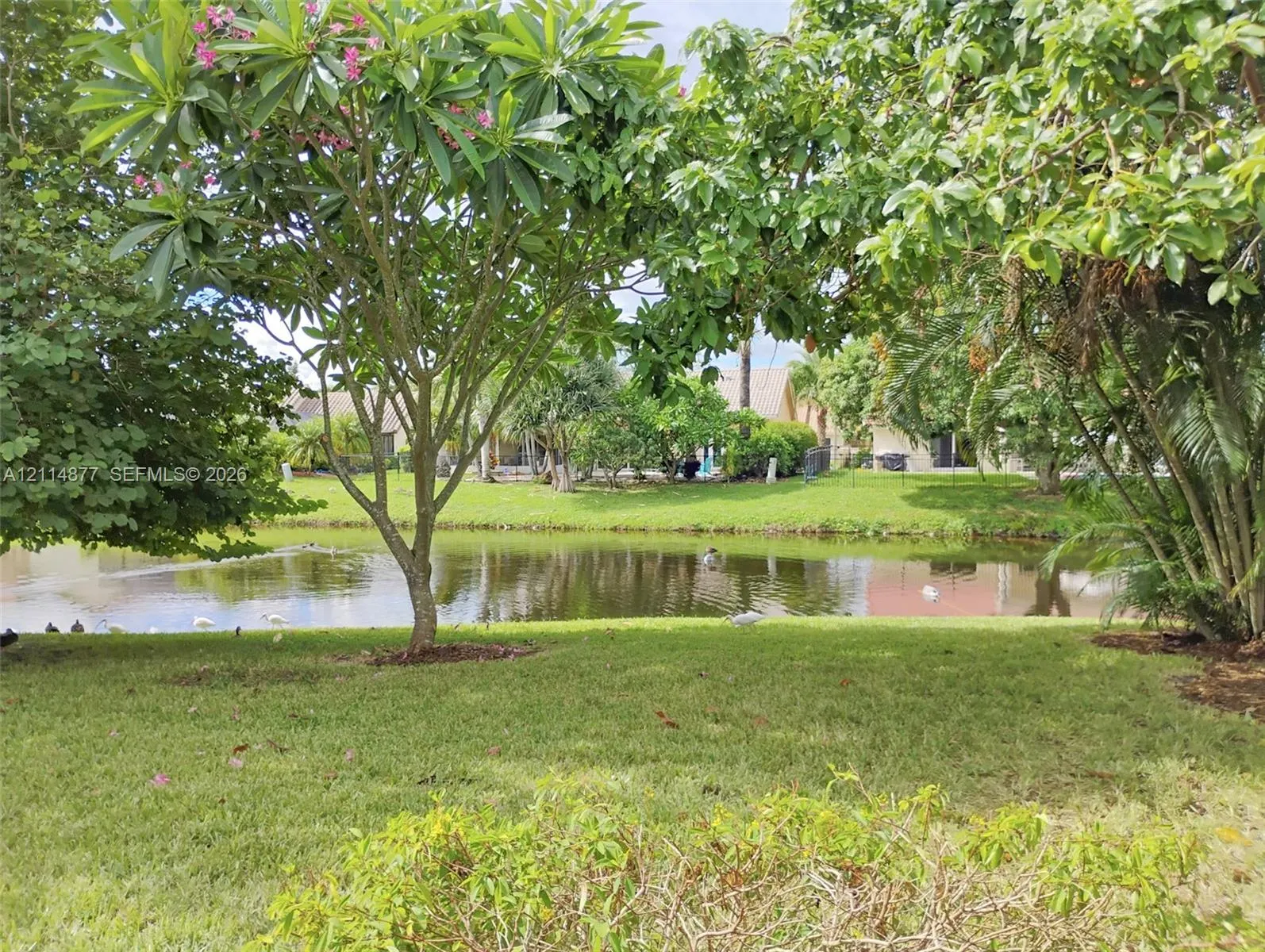 9735 Sun Pointe Drive