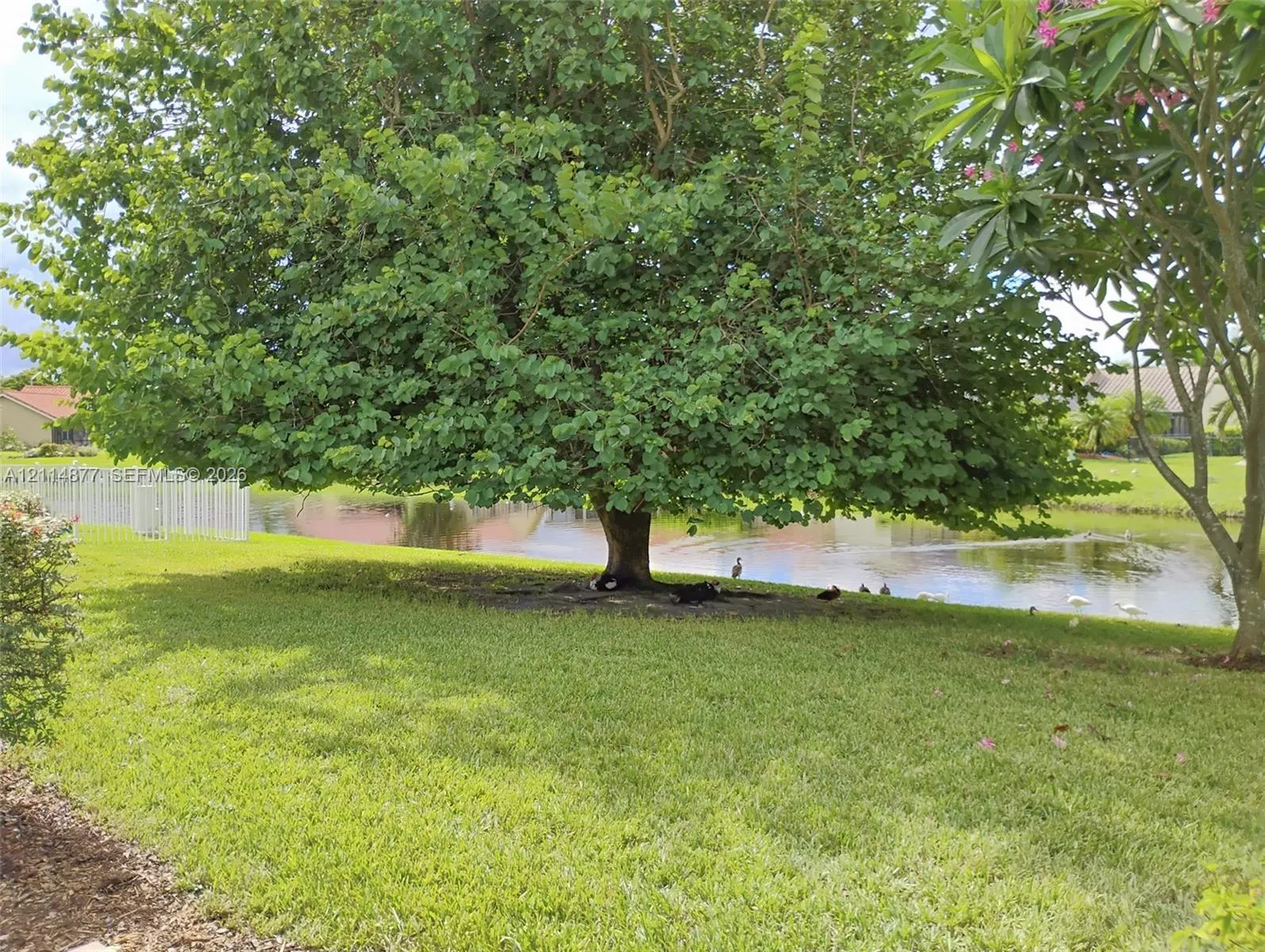 9735 Sun Pointe Drive