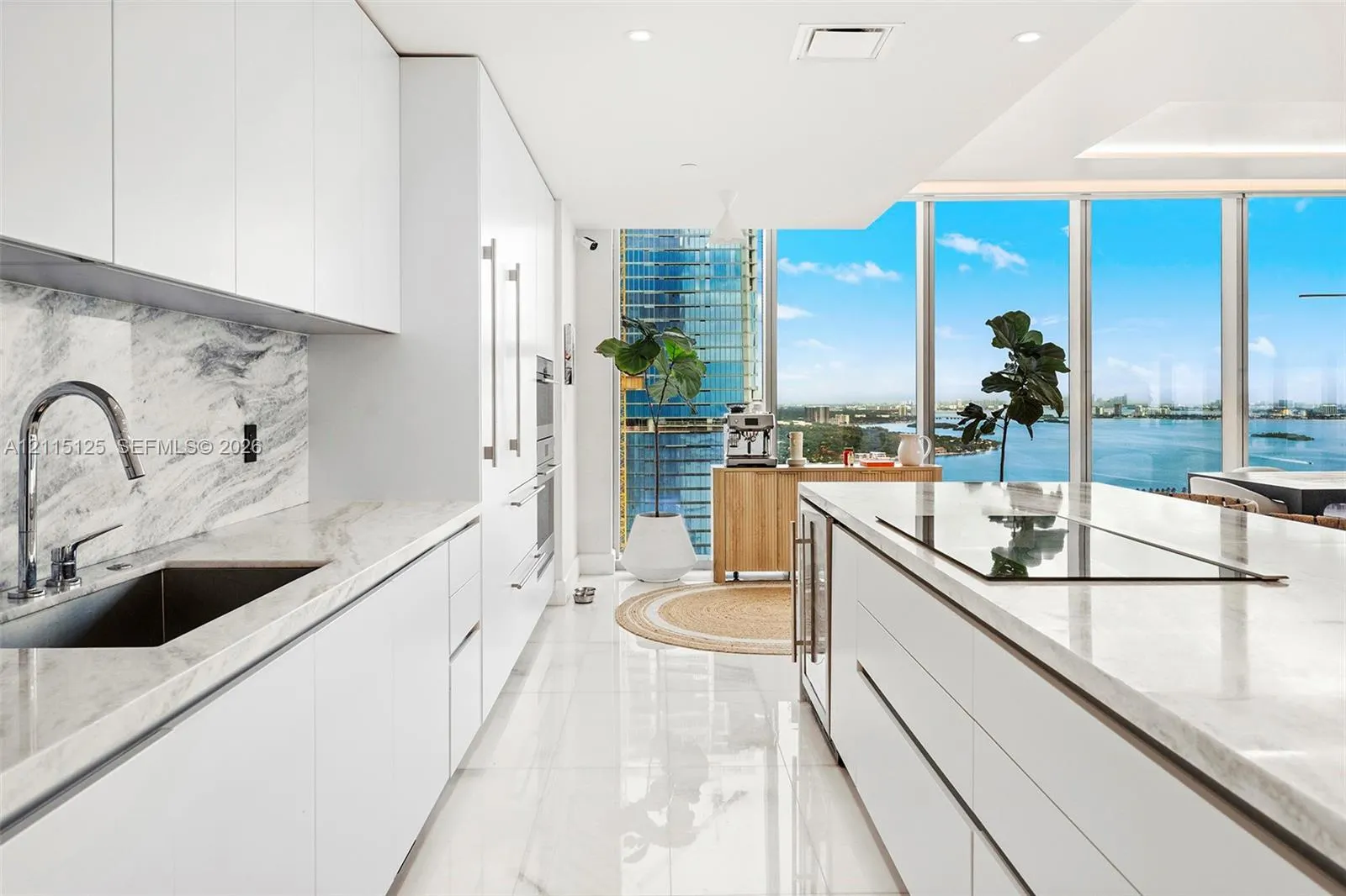 700 NE 26th Terrace #3401