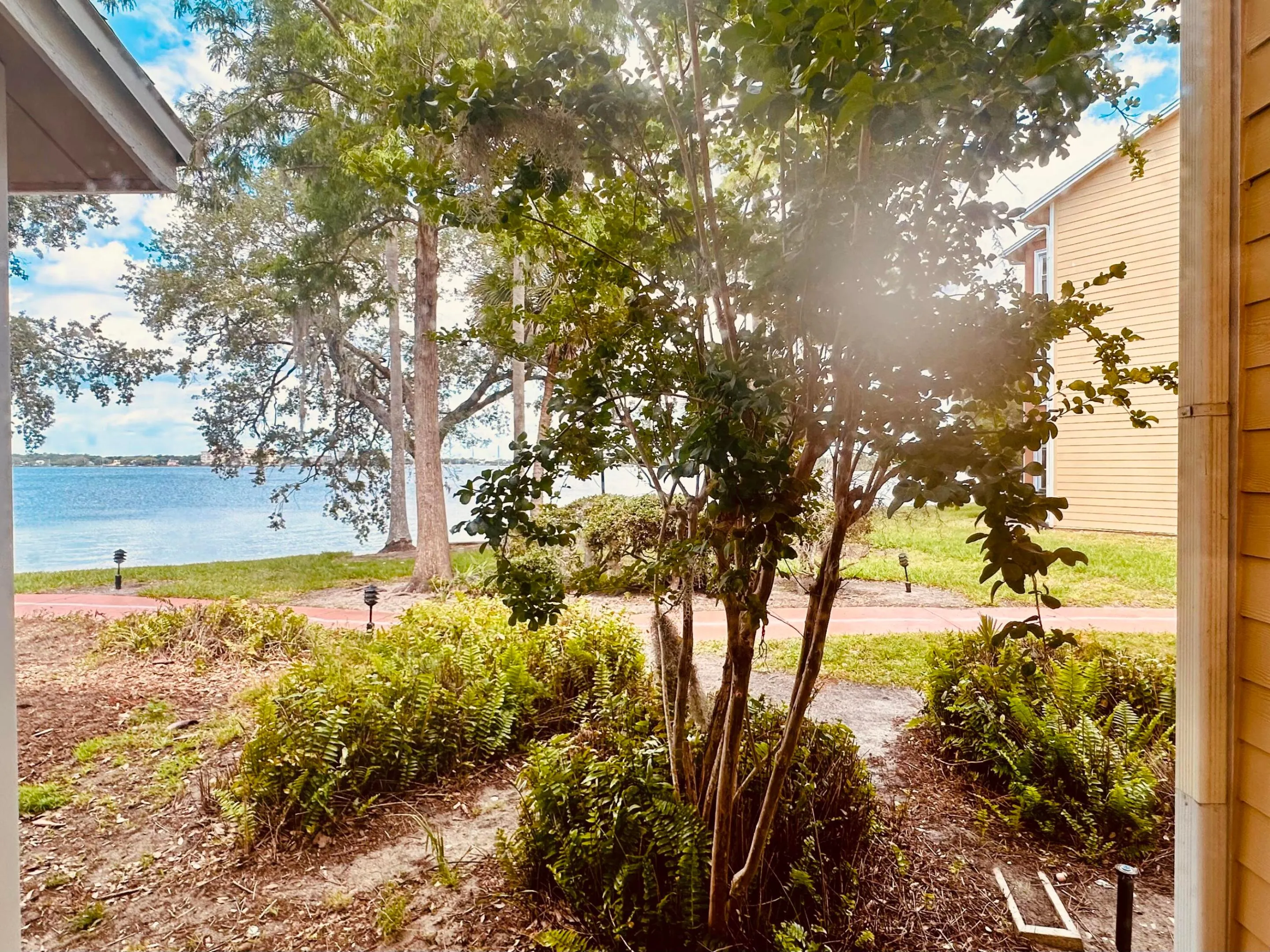 225 S Tropical Trail #316