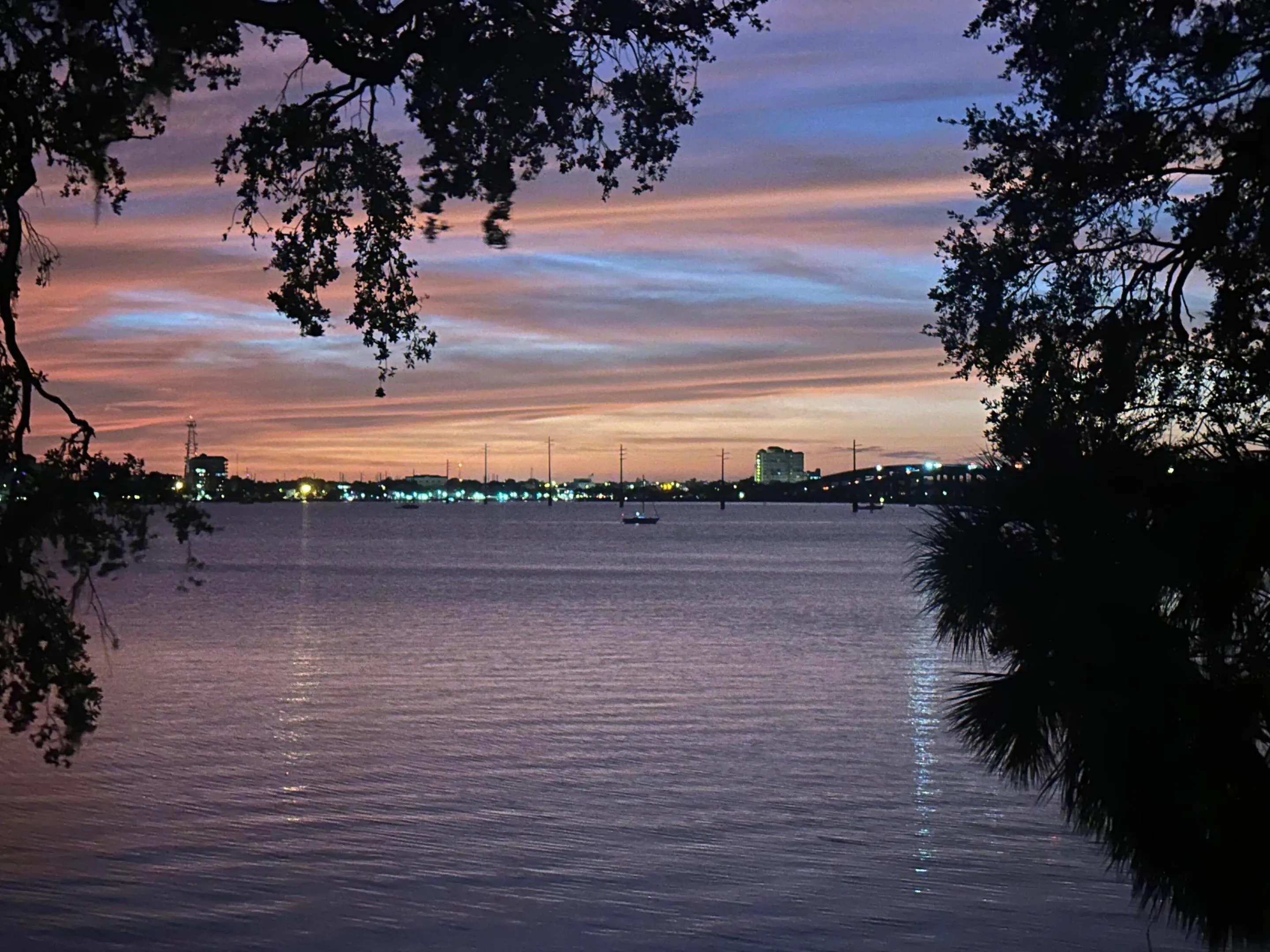 225 S Tropical Trail #316