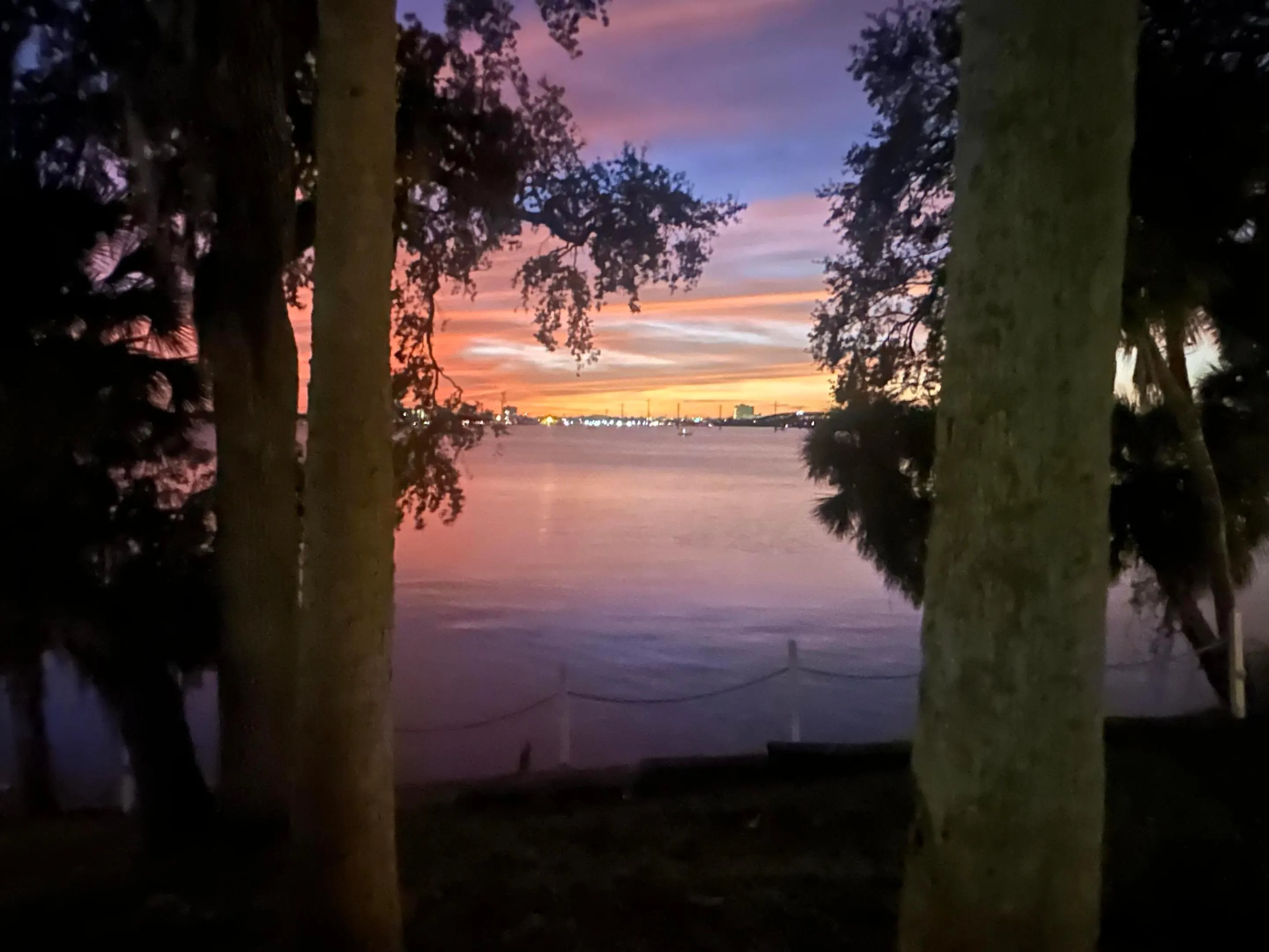 225 S Tropical Trail #316