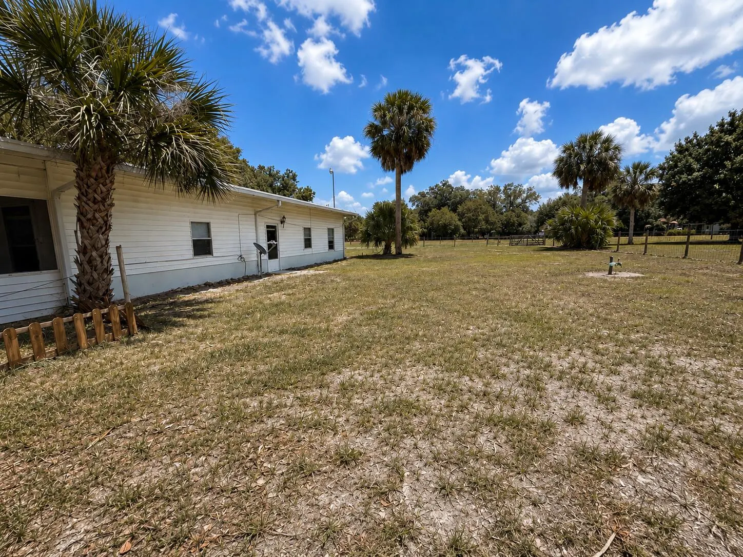 482 Palmetto Avenue