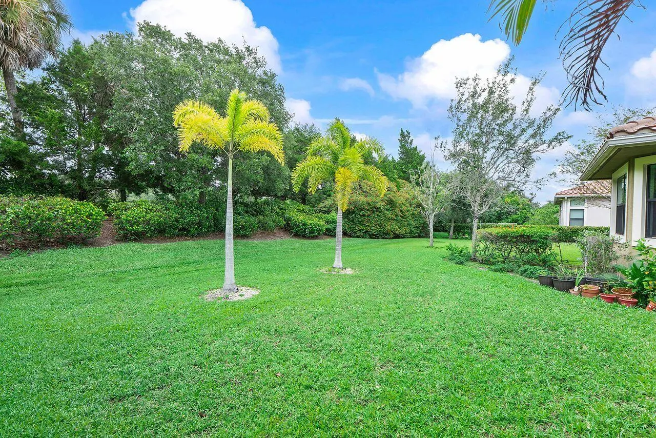 8231 Canopy Terrace