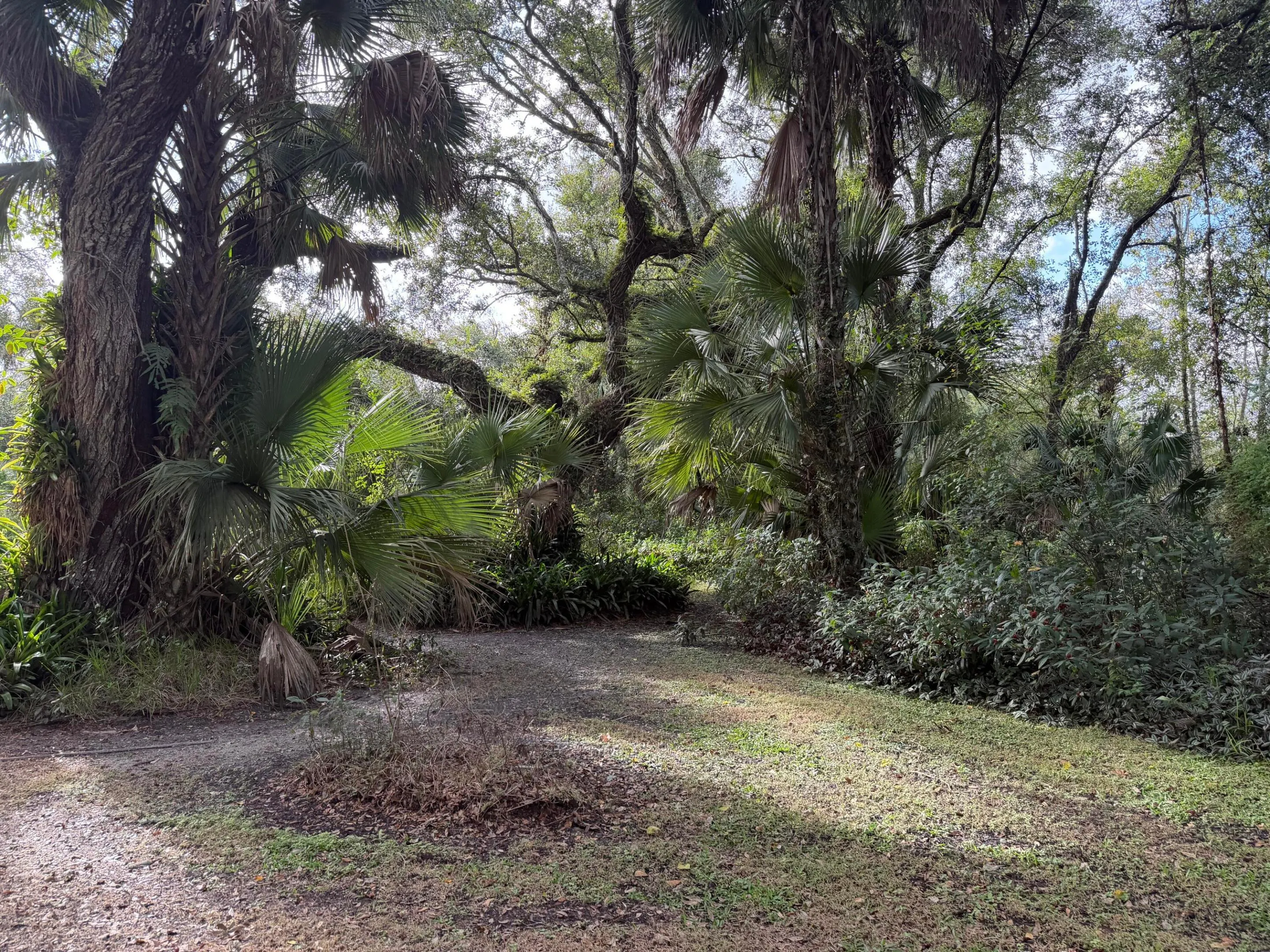 535 SE 80th Avenue