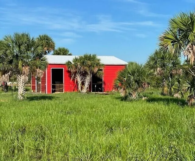 1303 CABBAGE Lane