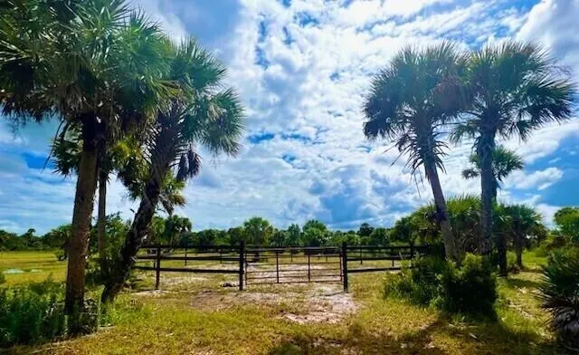 1303 CABBAGE Lane