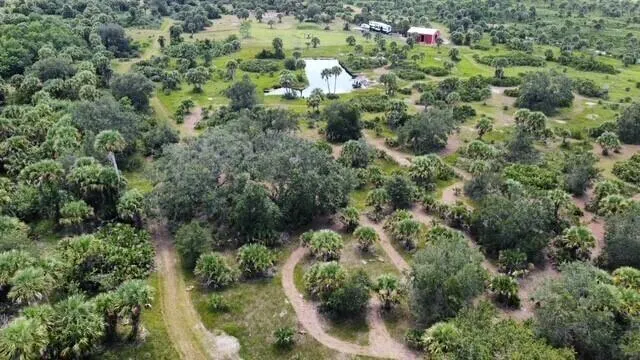 1303 CABBAGE Lane