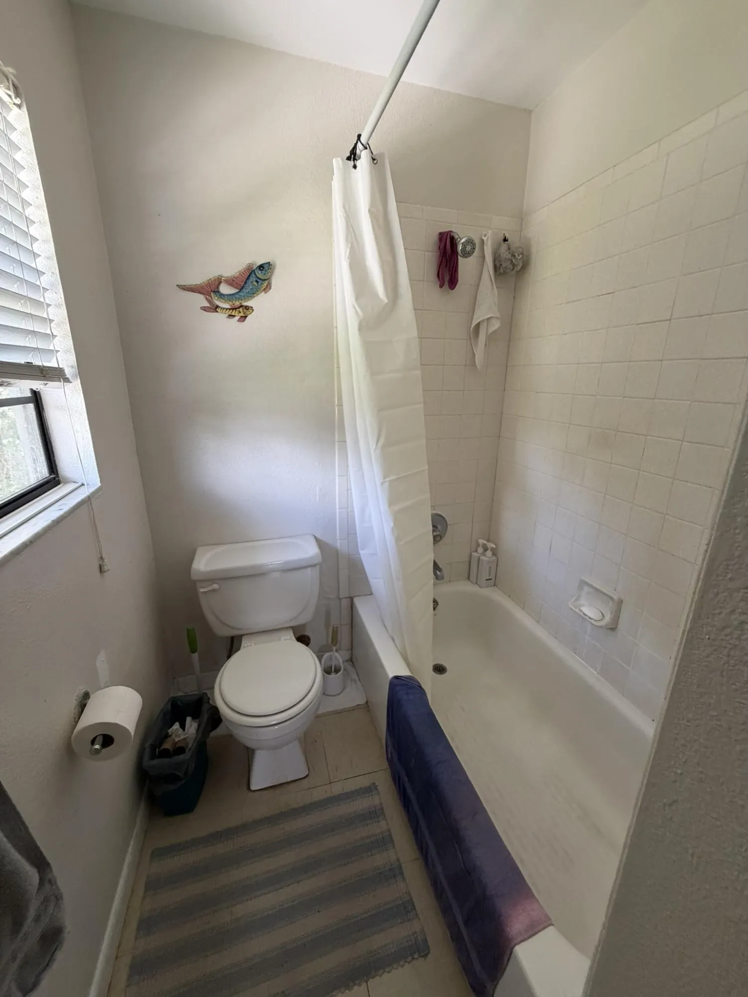 1017 Sabal Palm Drive