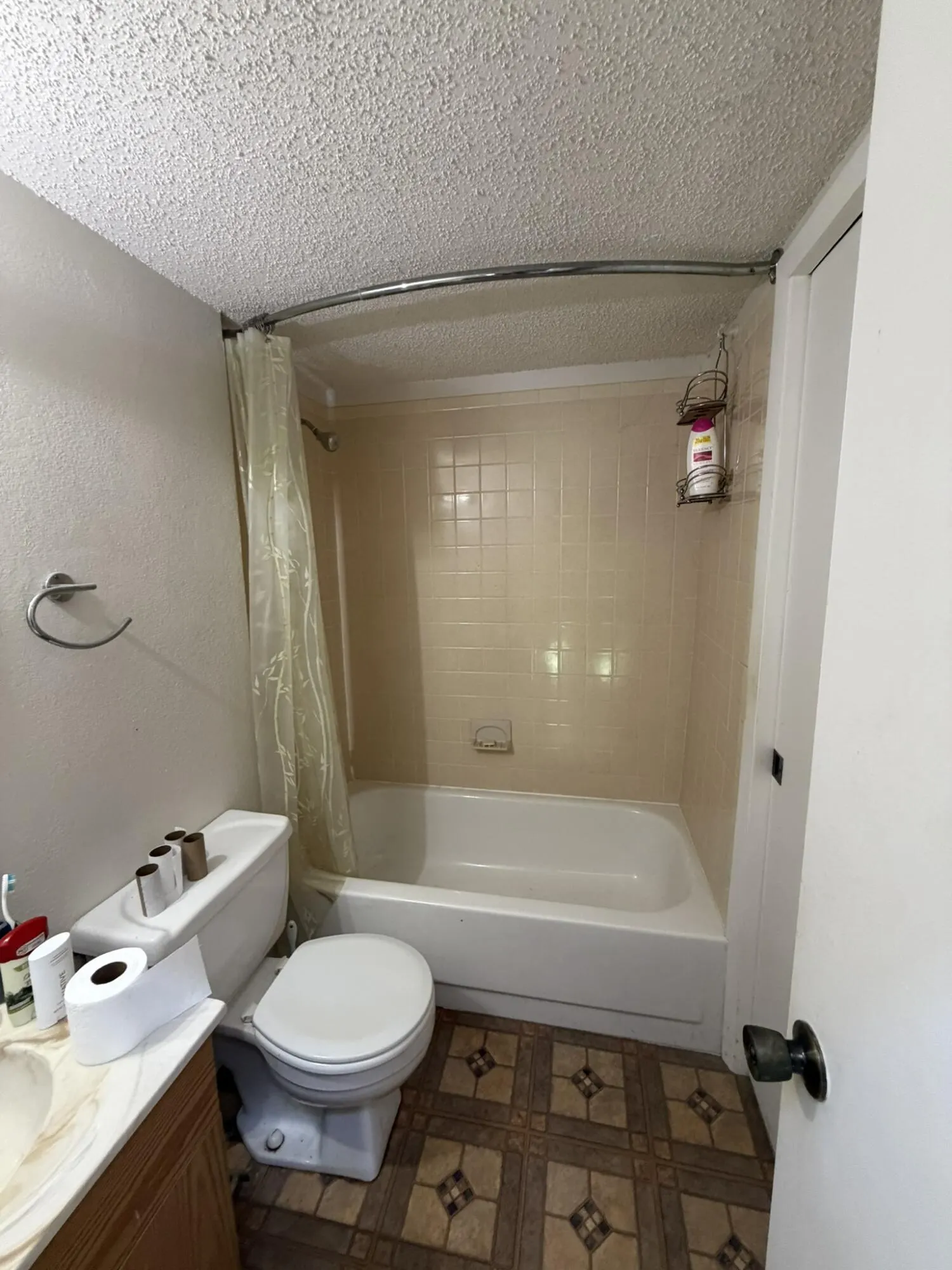 1017 Sabal Palm Drive