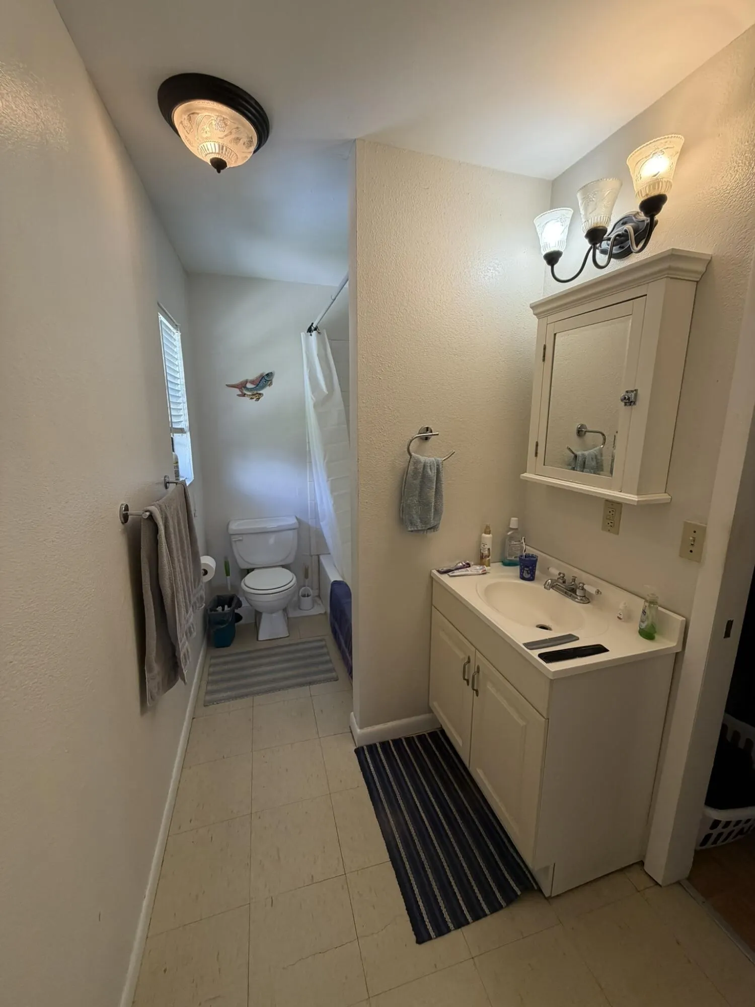1017 Sabal Palm Drive