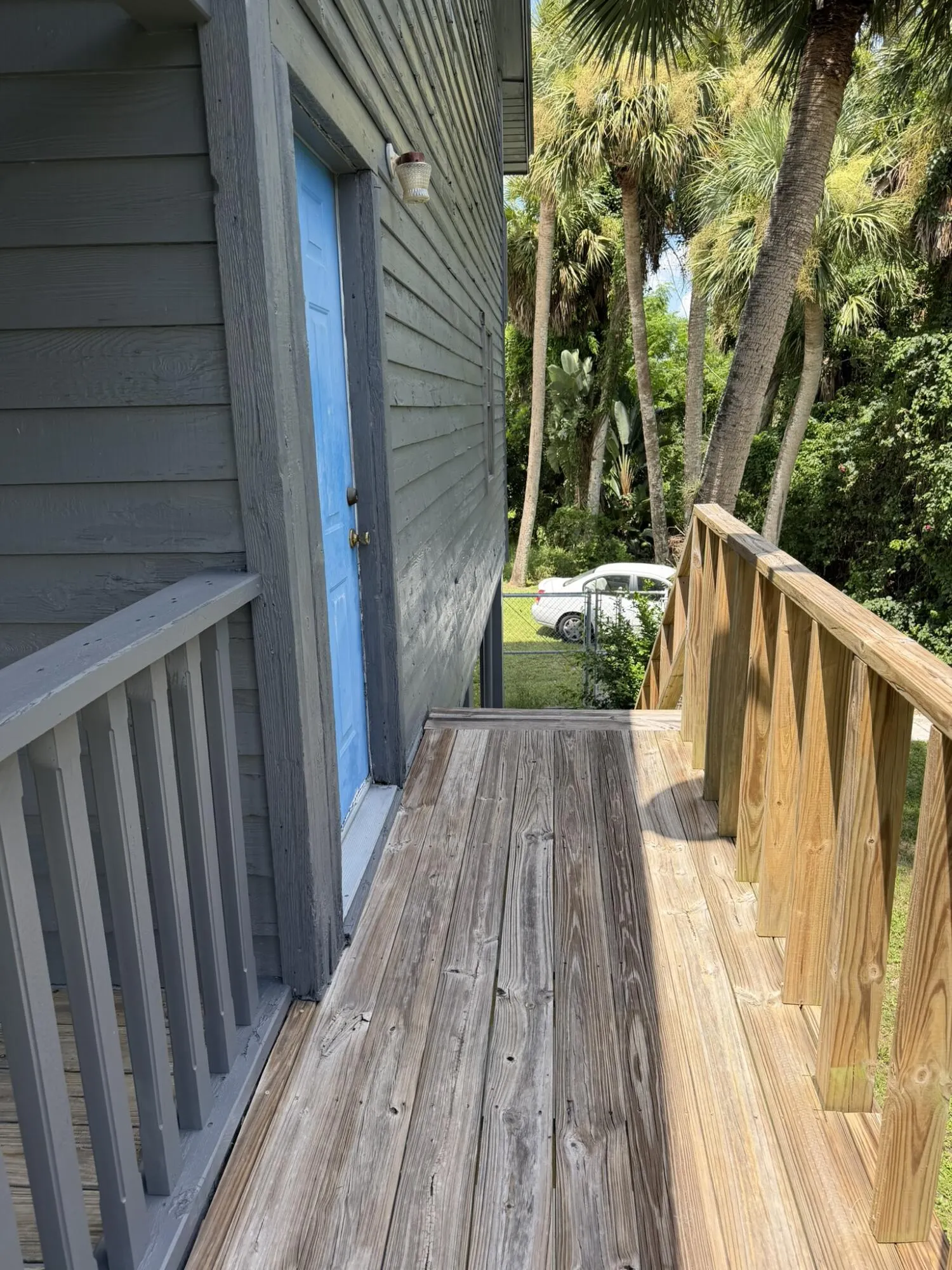 1017 Sabal Palm Drive
