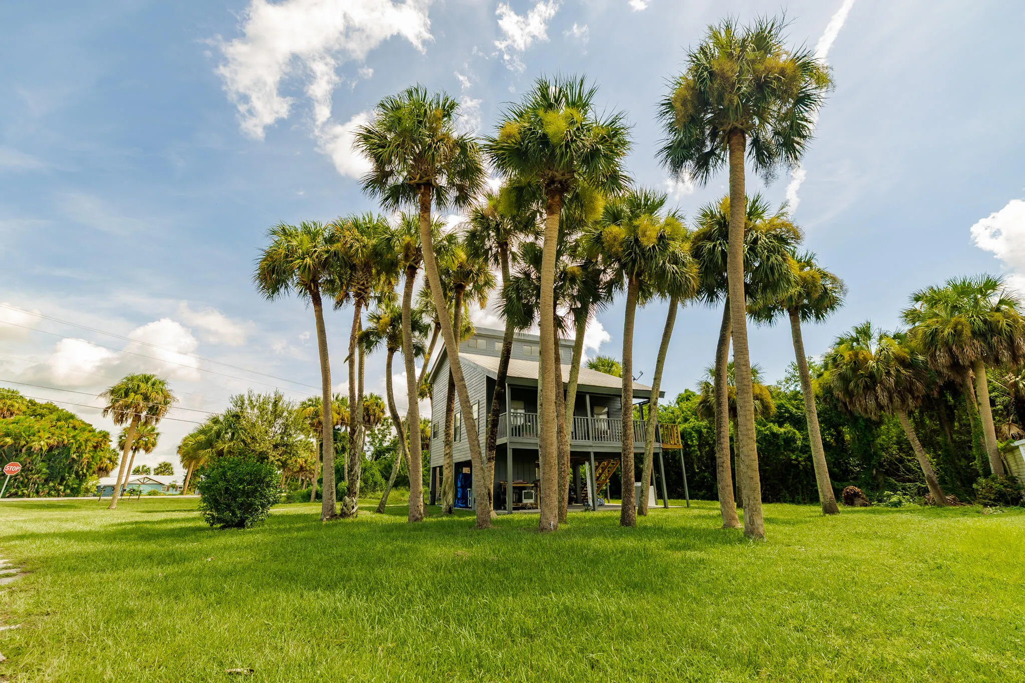 1017 Sabal Palm Drive