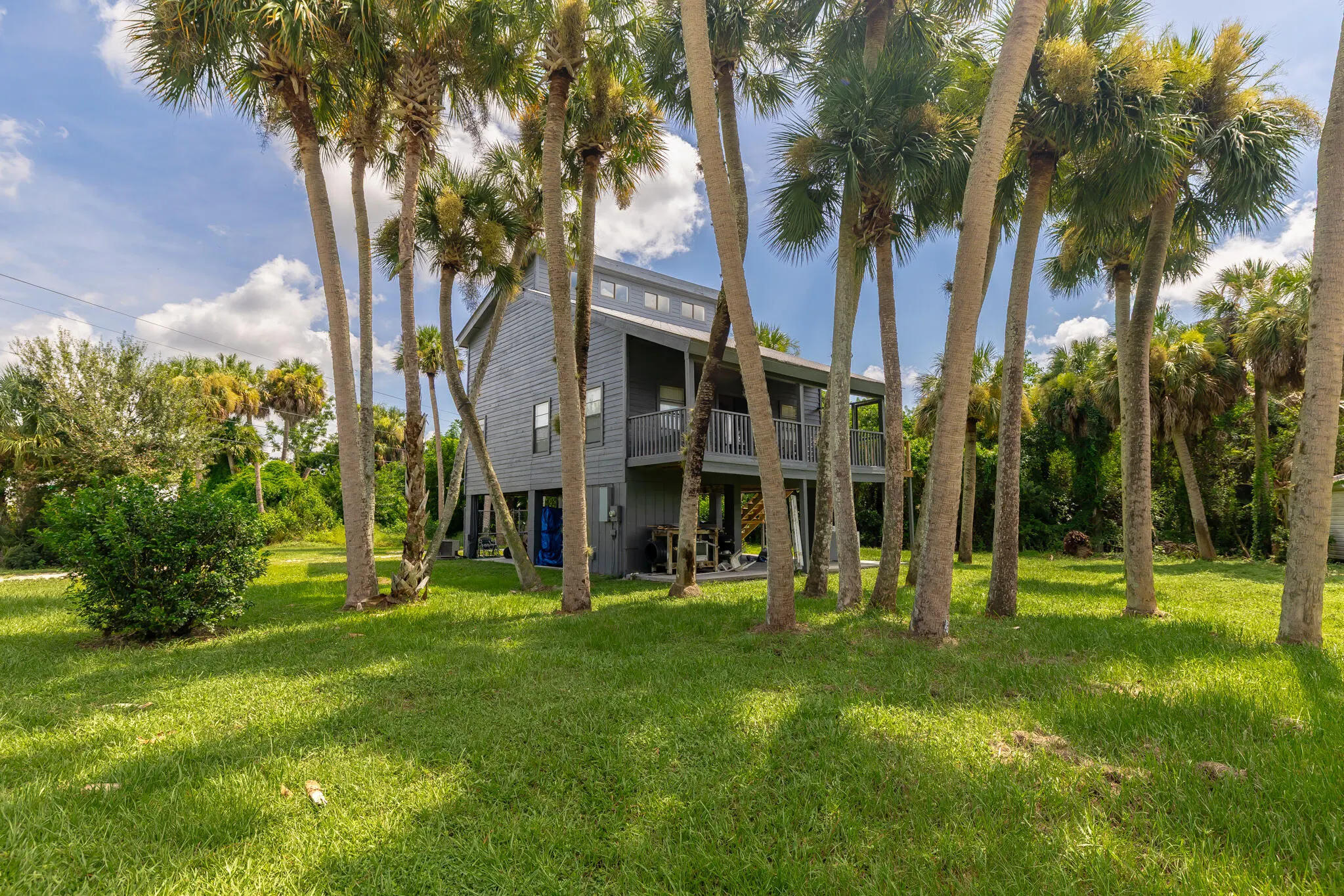 1017 Sabal Palm Drive