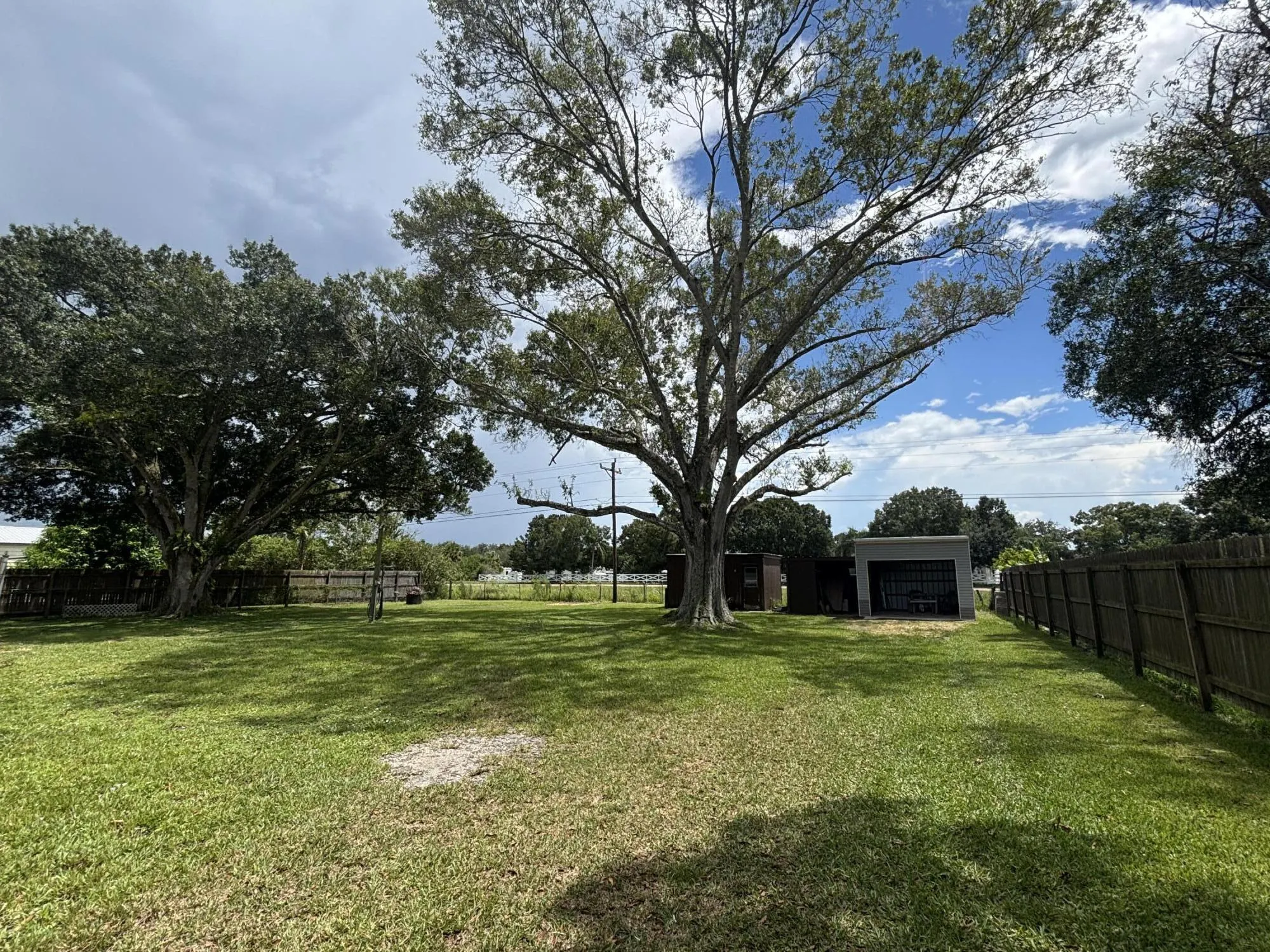 1214 ALLIGATOR Road