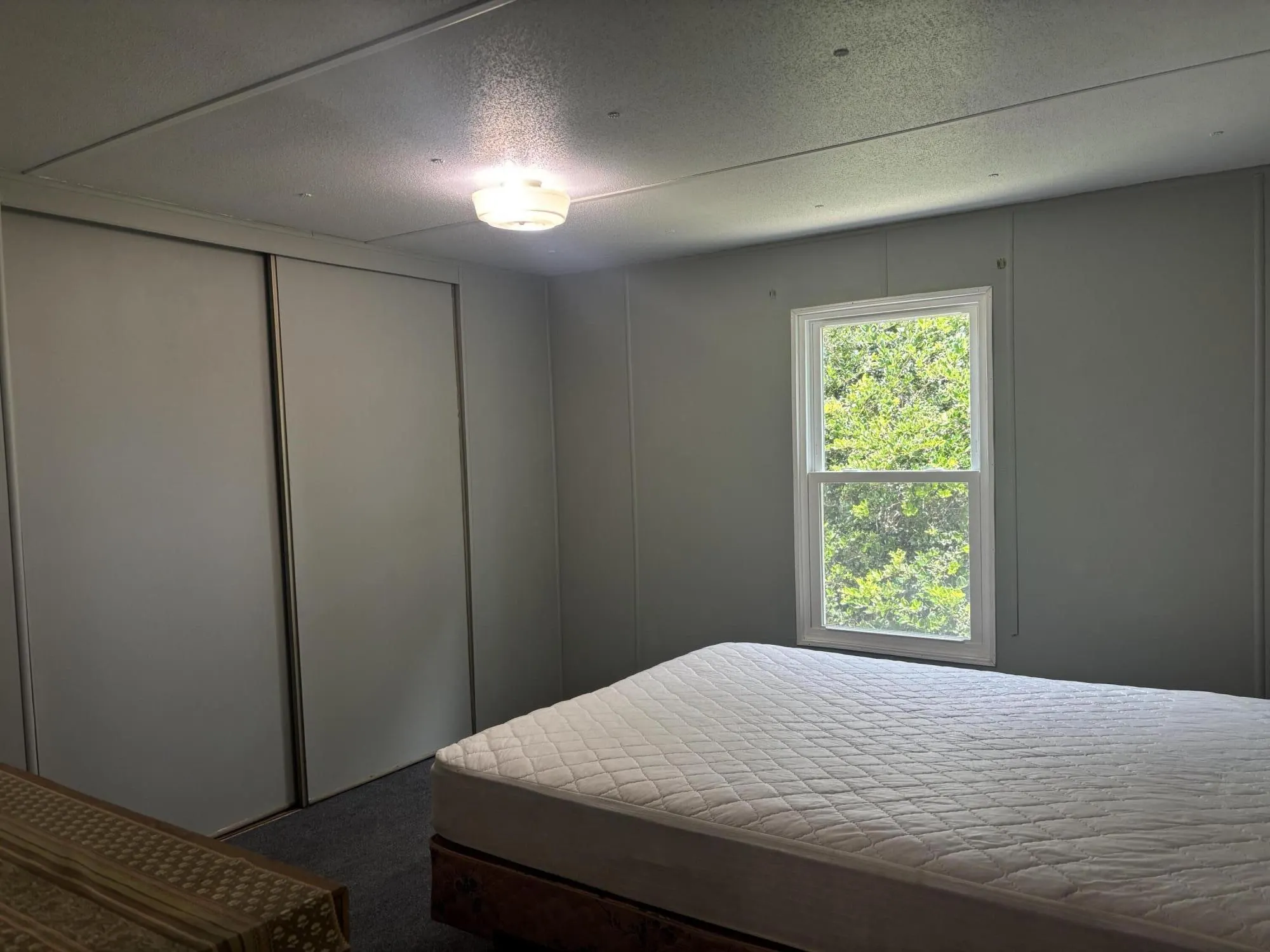 1214 ALLIGATOR Road