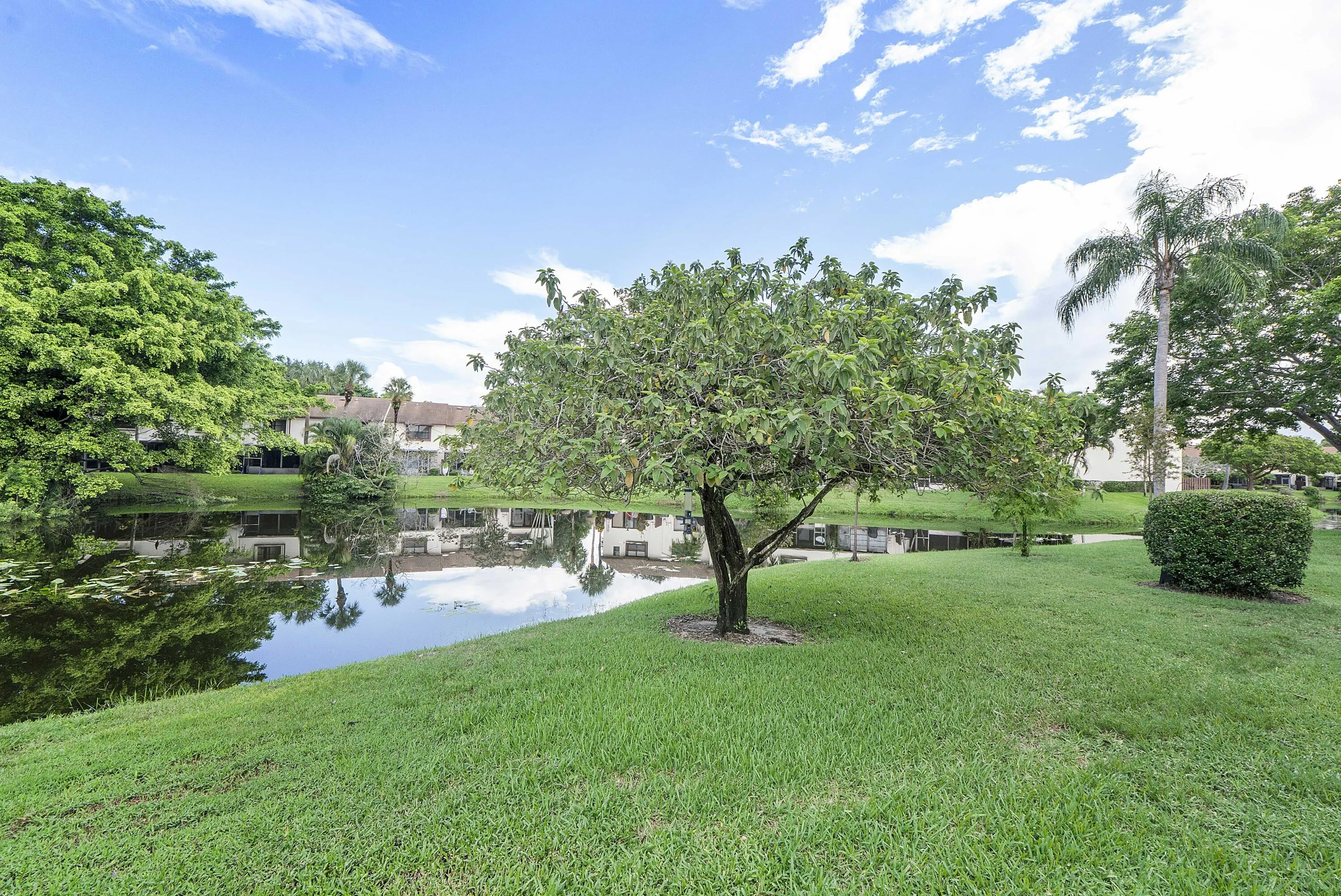 3356 CARAMBOLA Circle S