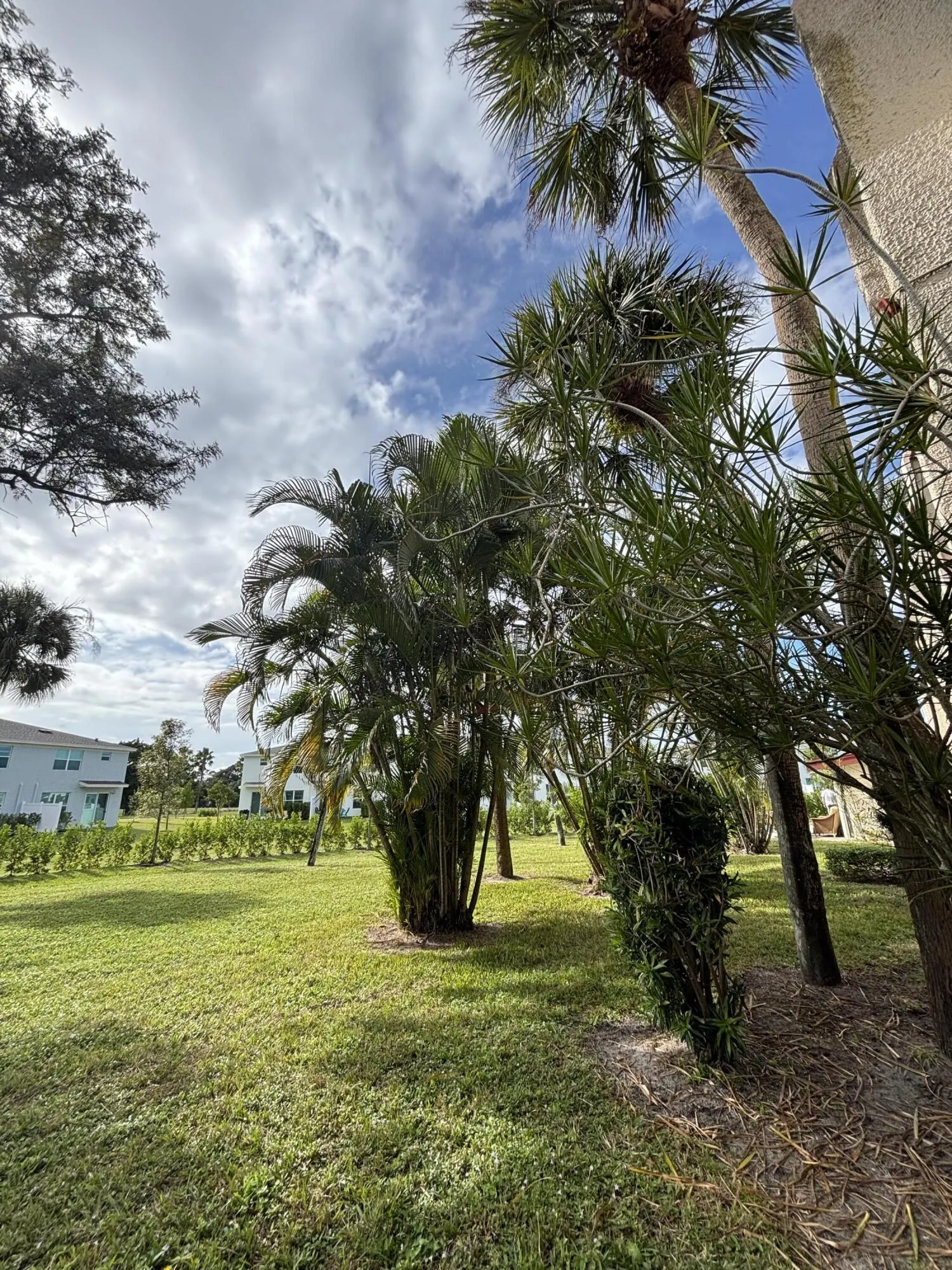 4393 Trevi Court #106