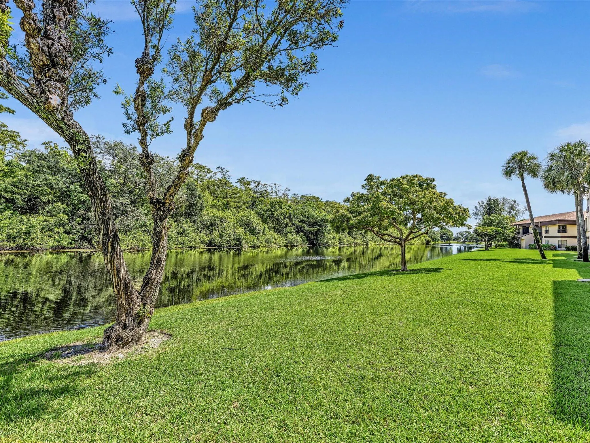 2659 Carambola Circle N #306