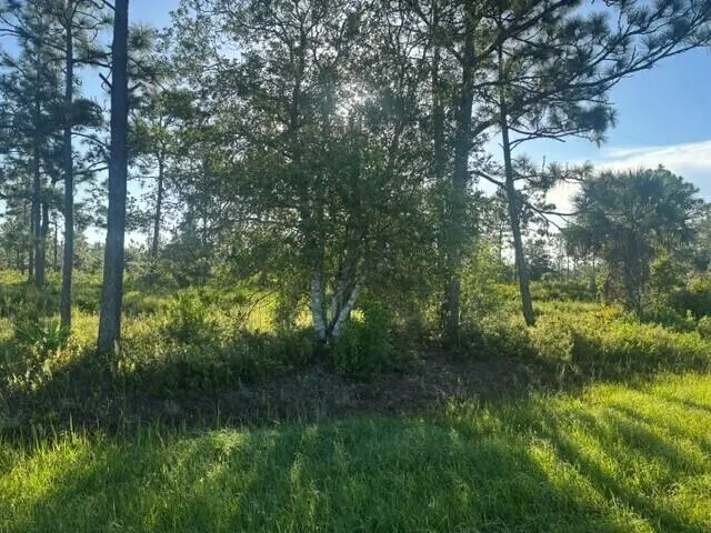 0 N Hwy 441