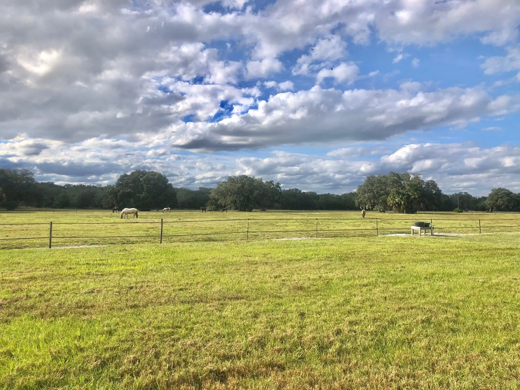 32801 Hwy 441 N