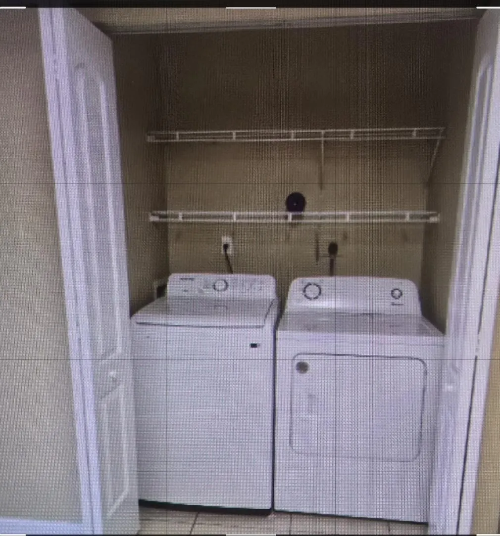 1155 White Pine Pine #1155
