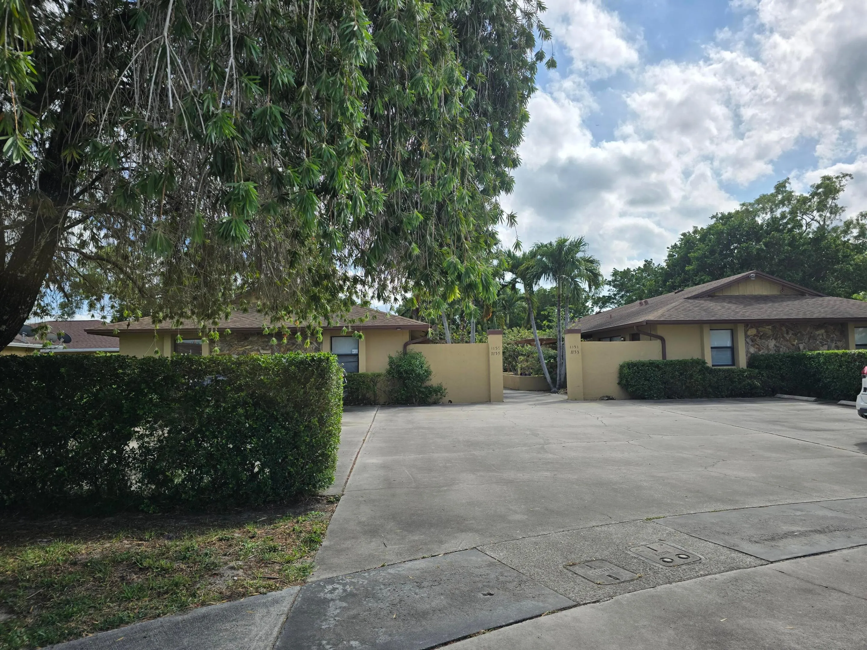 1155 White Pine Pine #1155