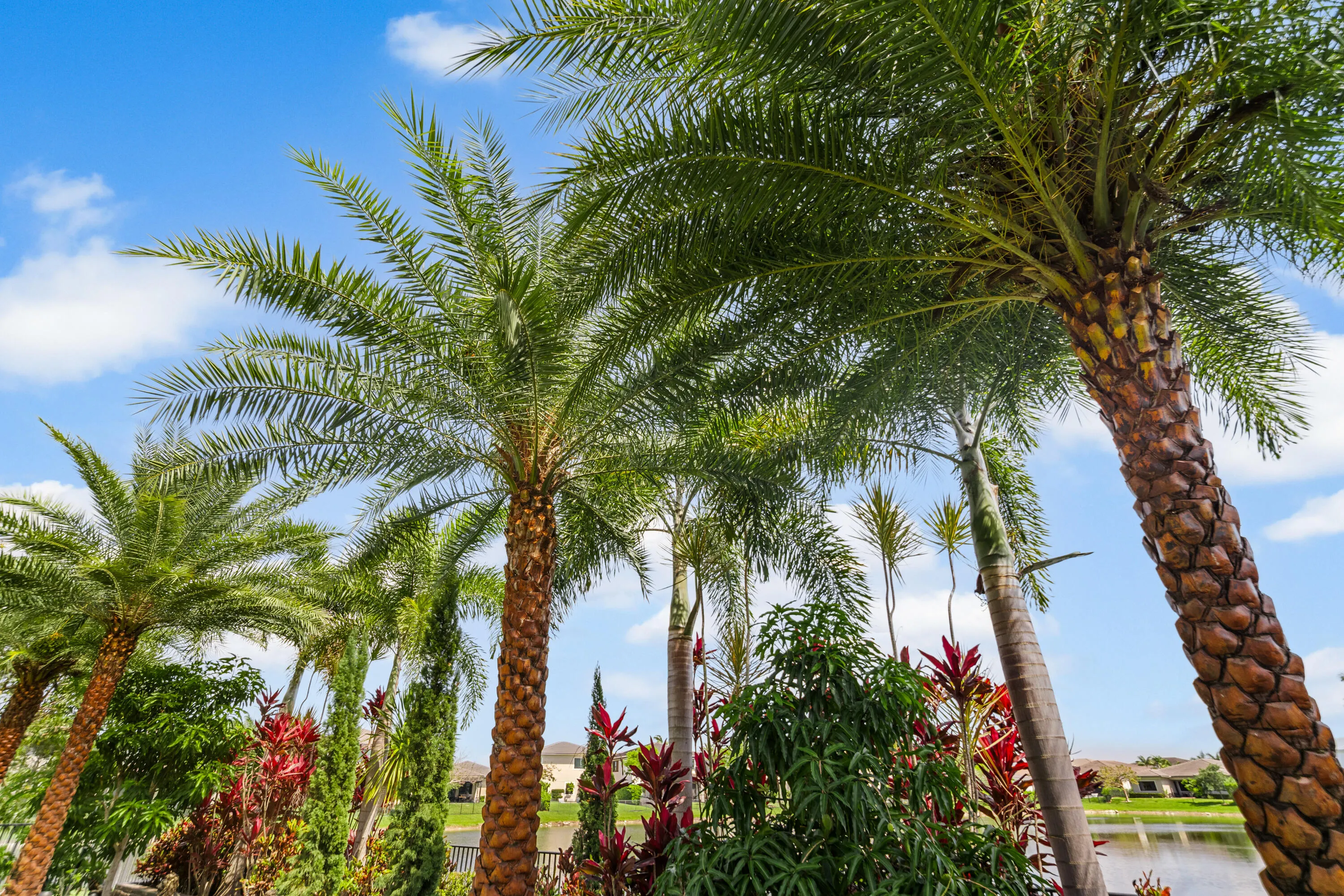 10768 AZUL Lane