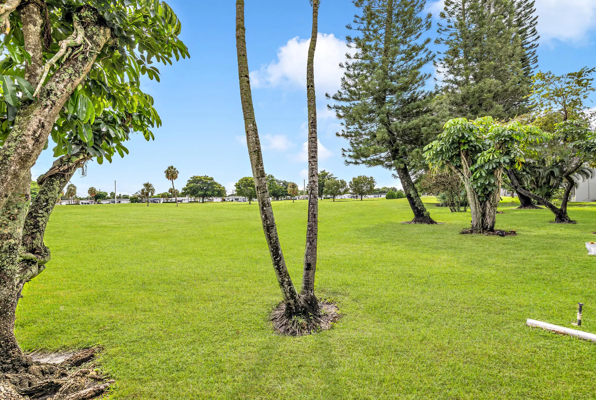 7797 GOLF CIR Drive #110