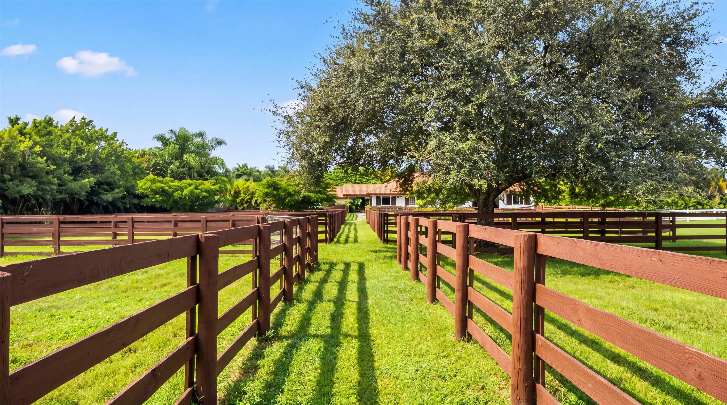 14883 Equestrian Way
