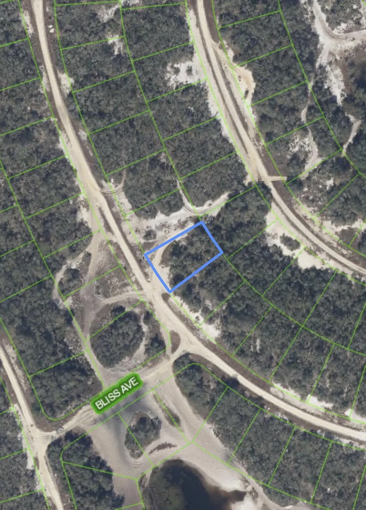 229 RHYTHM Drive