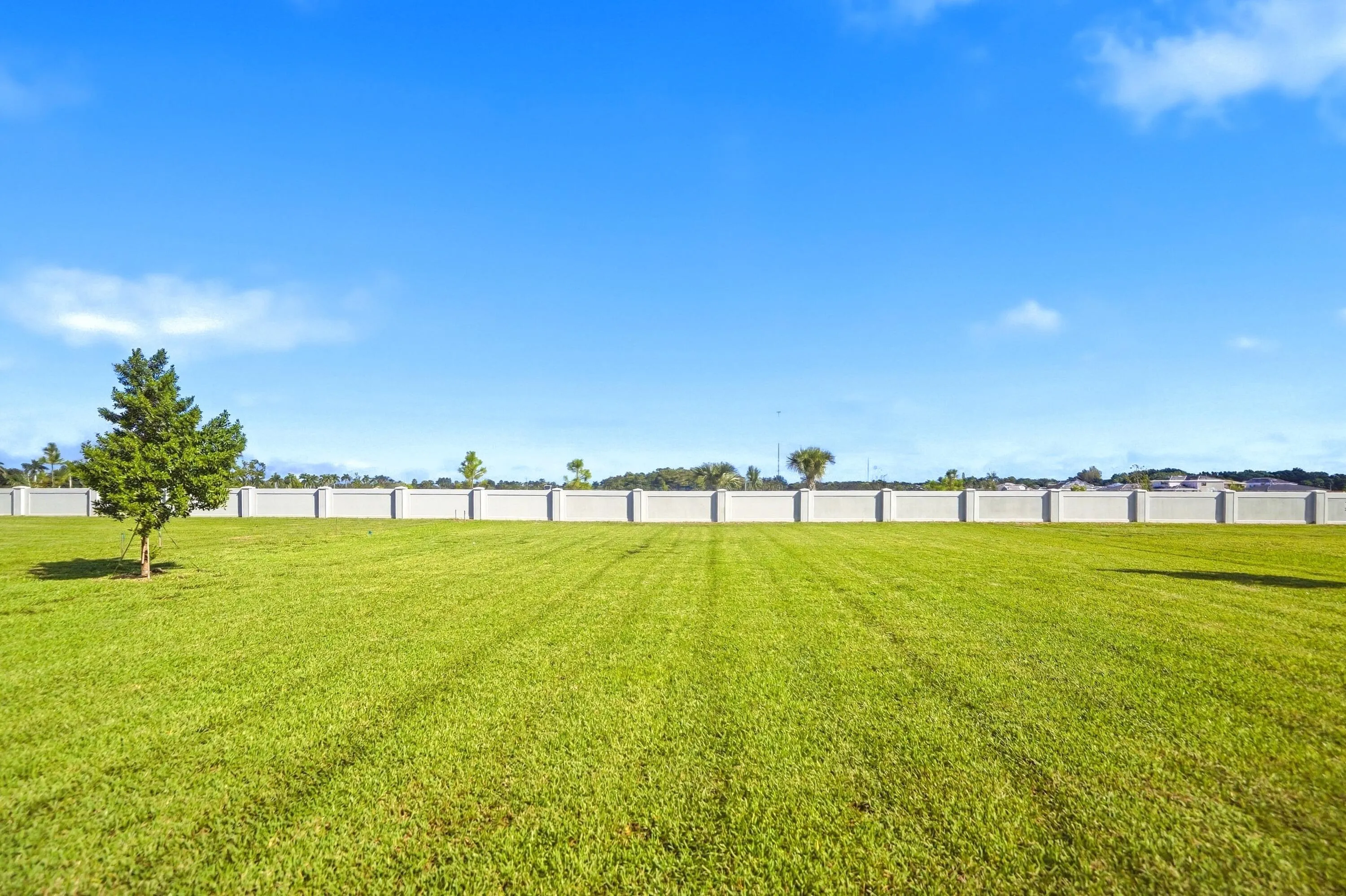 10253 CANTER CREEK Court
