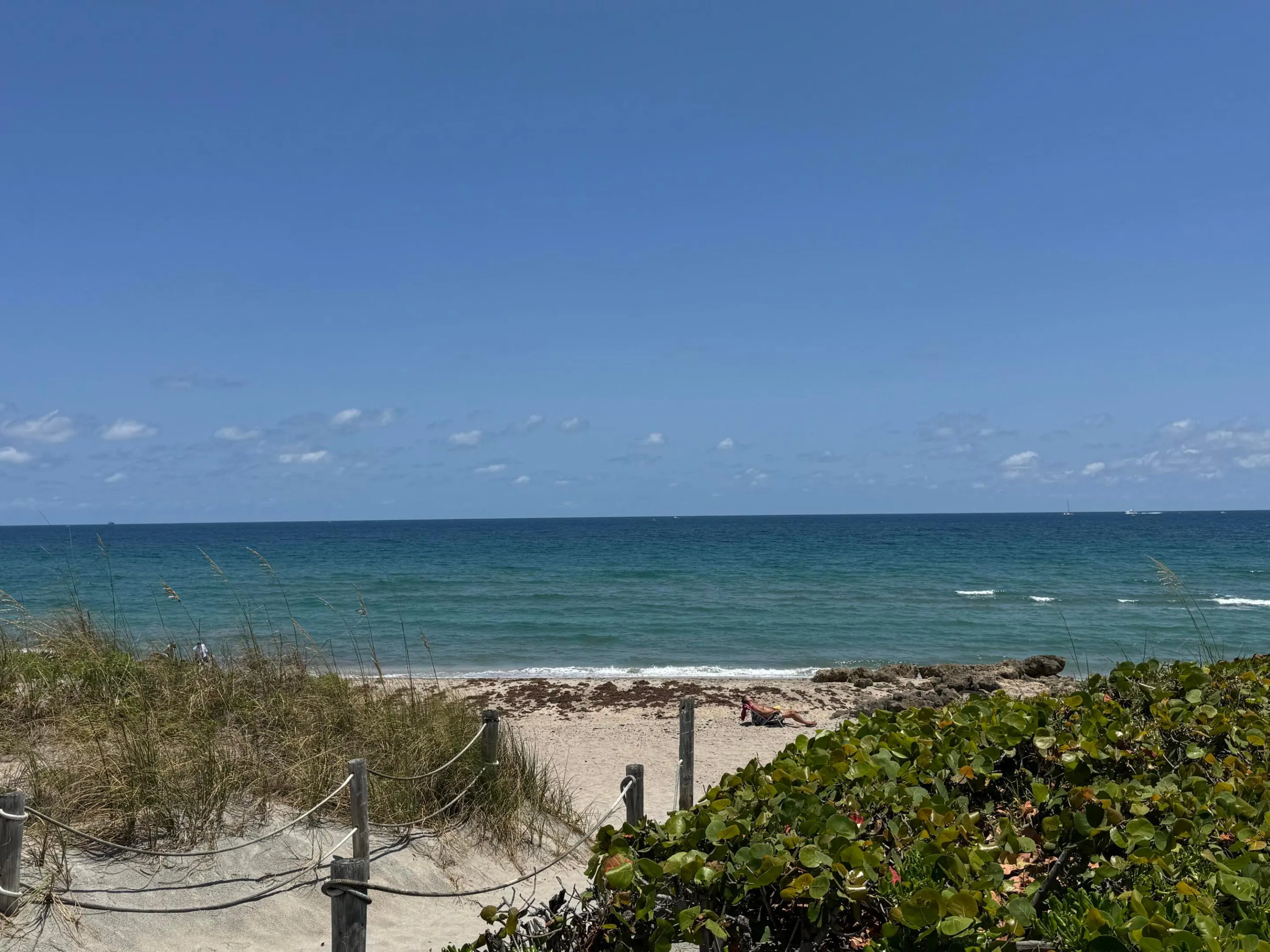 297 DEER CREEK Boulevard #1305