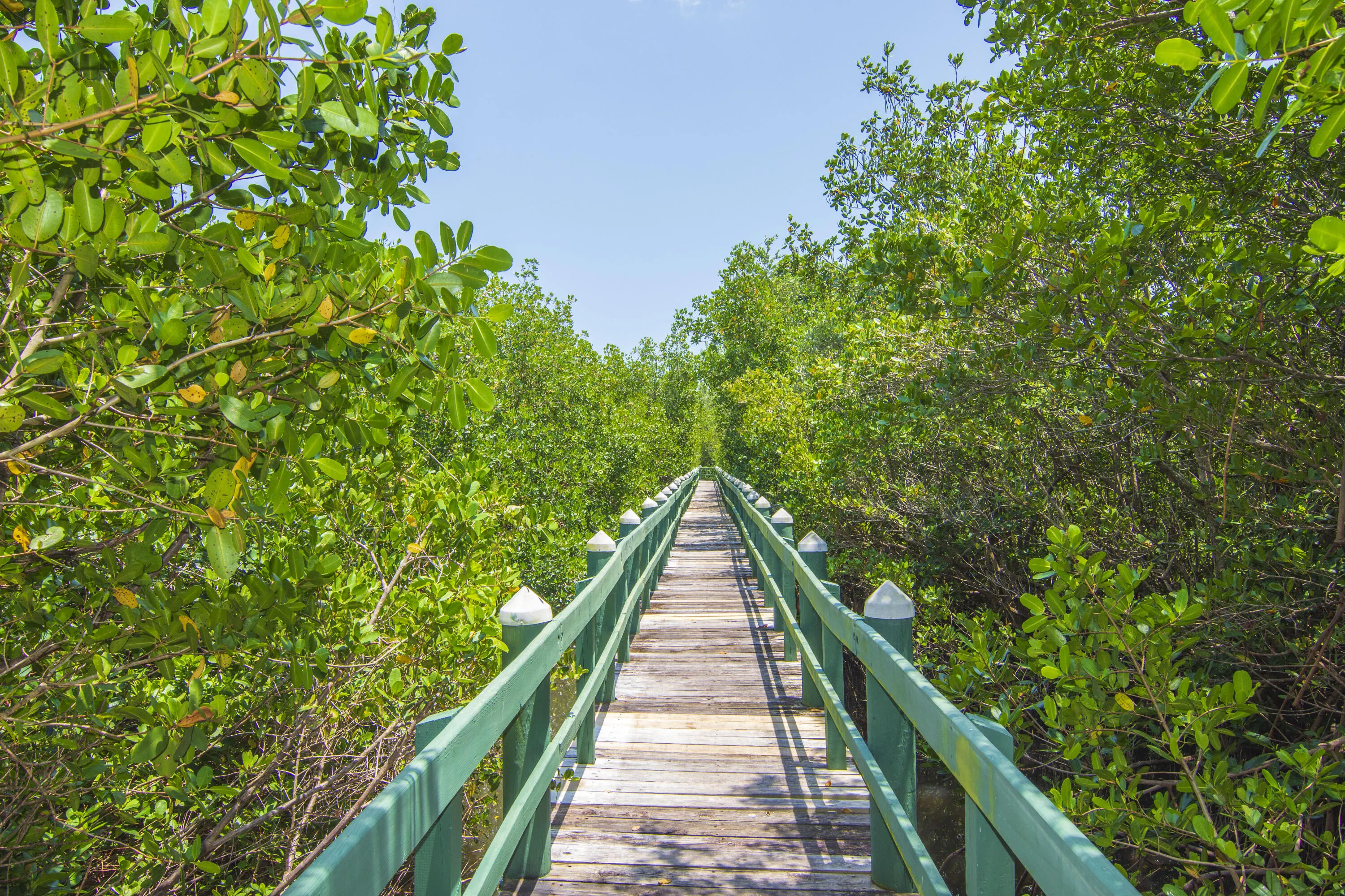 406 GROVE ISLE Circle #406