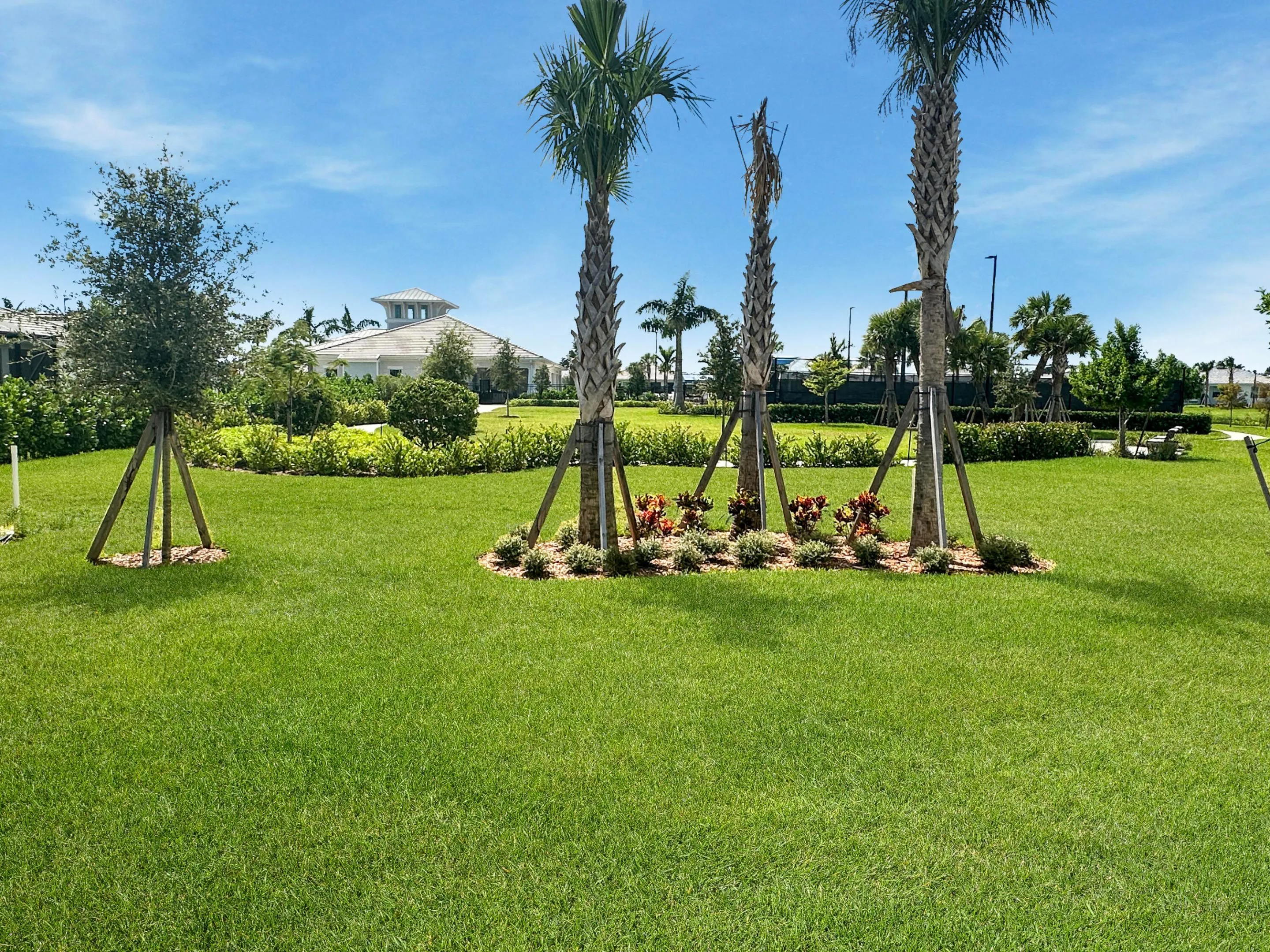 1156 HAVEN Circle
