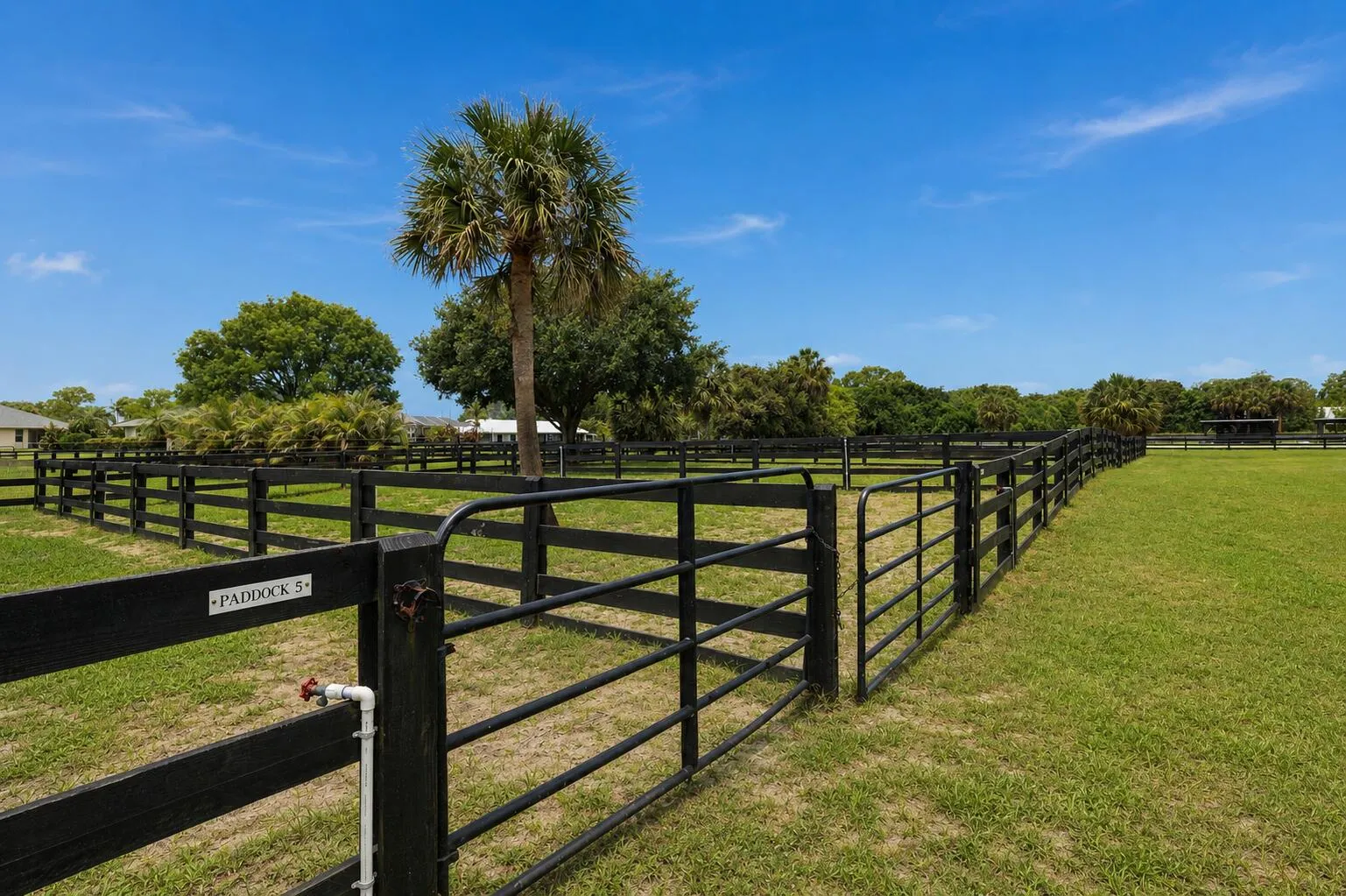 785 CINDY Drive