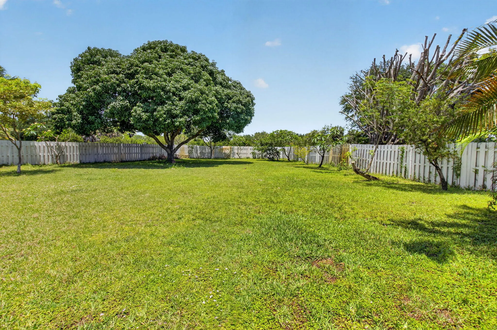 6207 SHADOW TREE Lane
