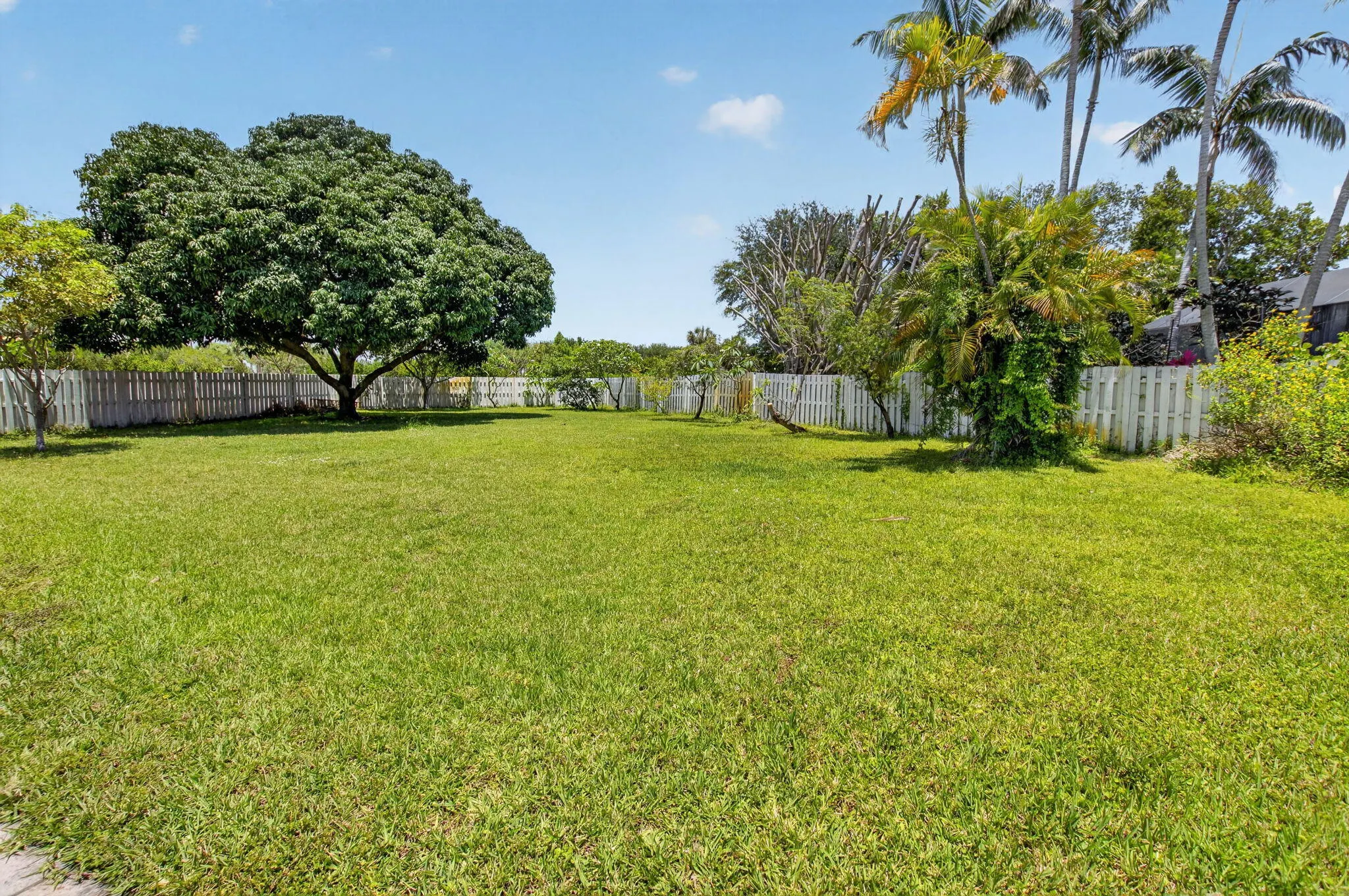 6207 SHADOW TREE Lane