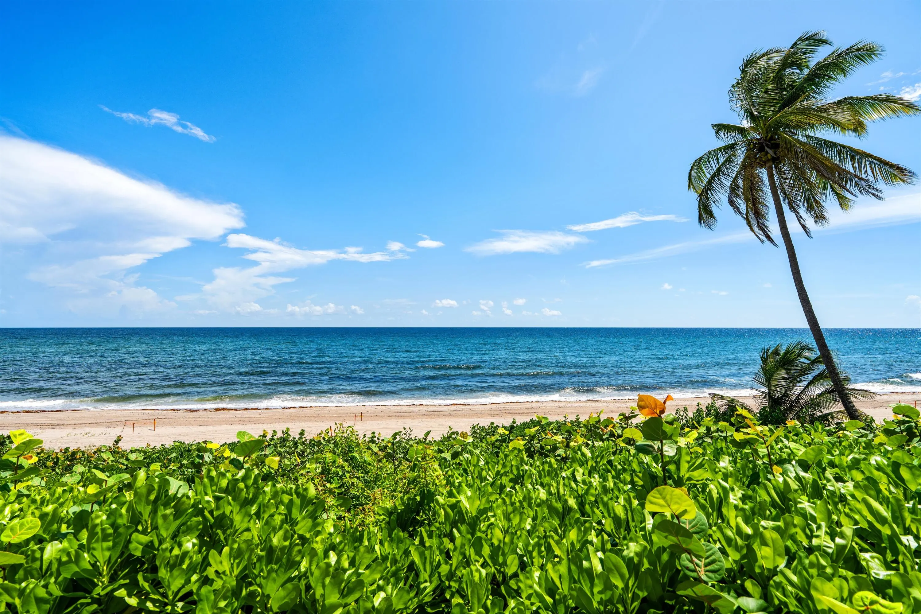 2000 N Ocean Boulevard #103