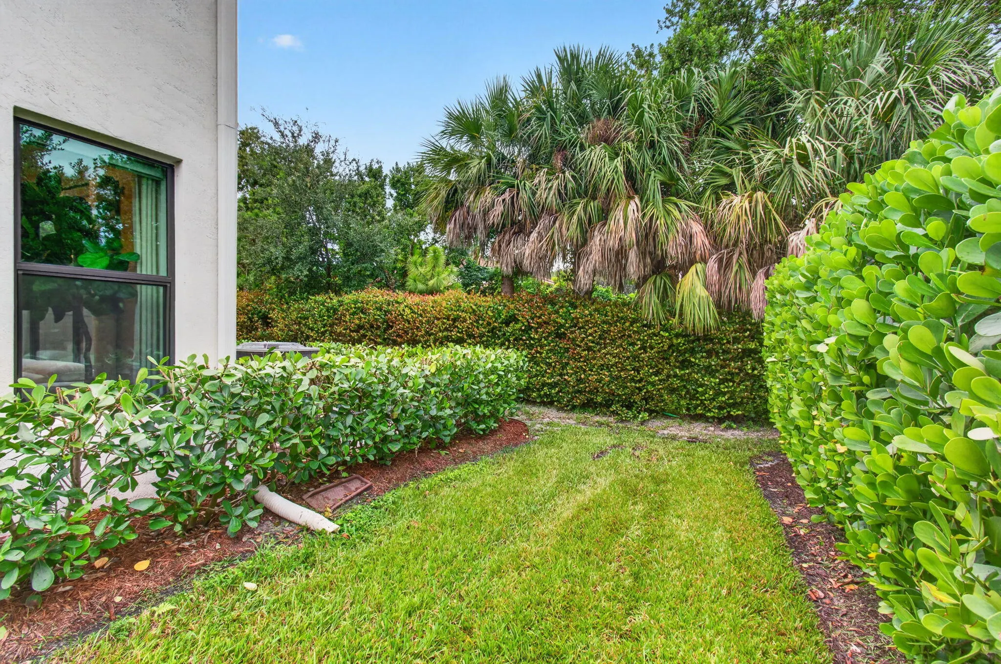 4355 Arcturus Lane