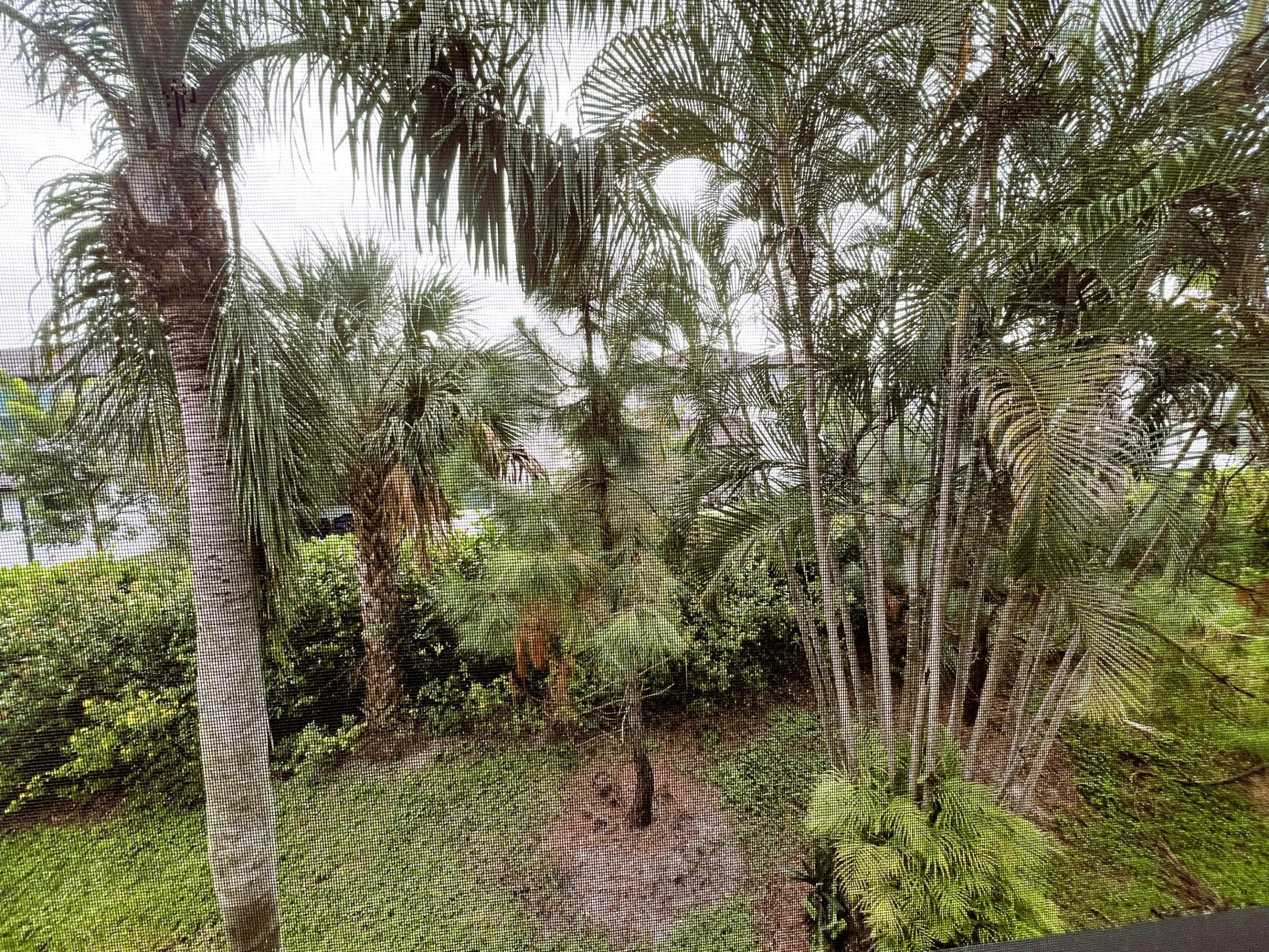 7245 Golf Colony Court #203