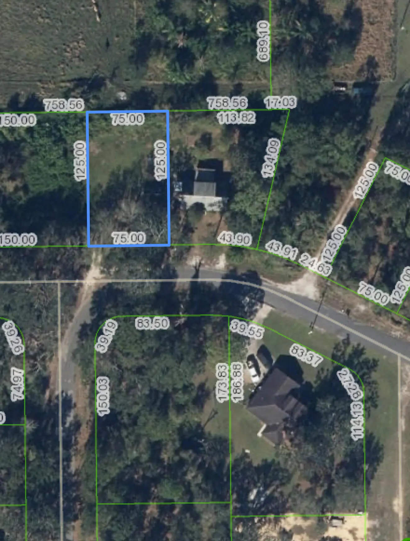 1513 SPRING Lane