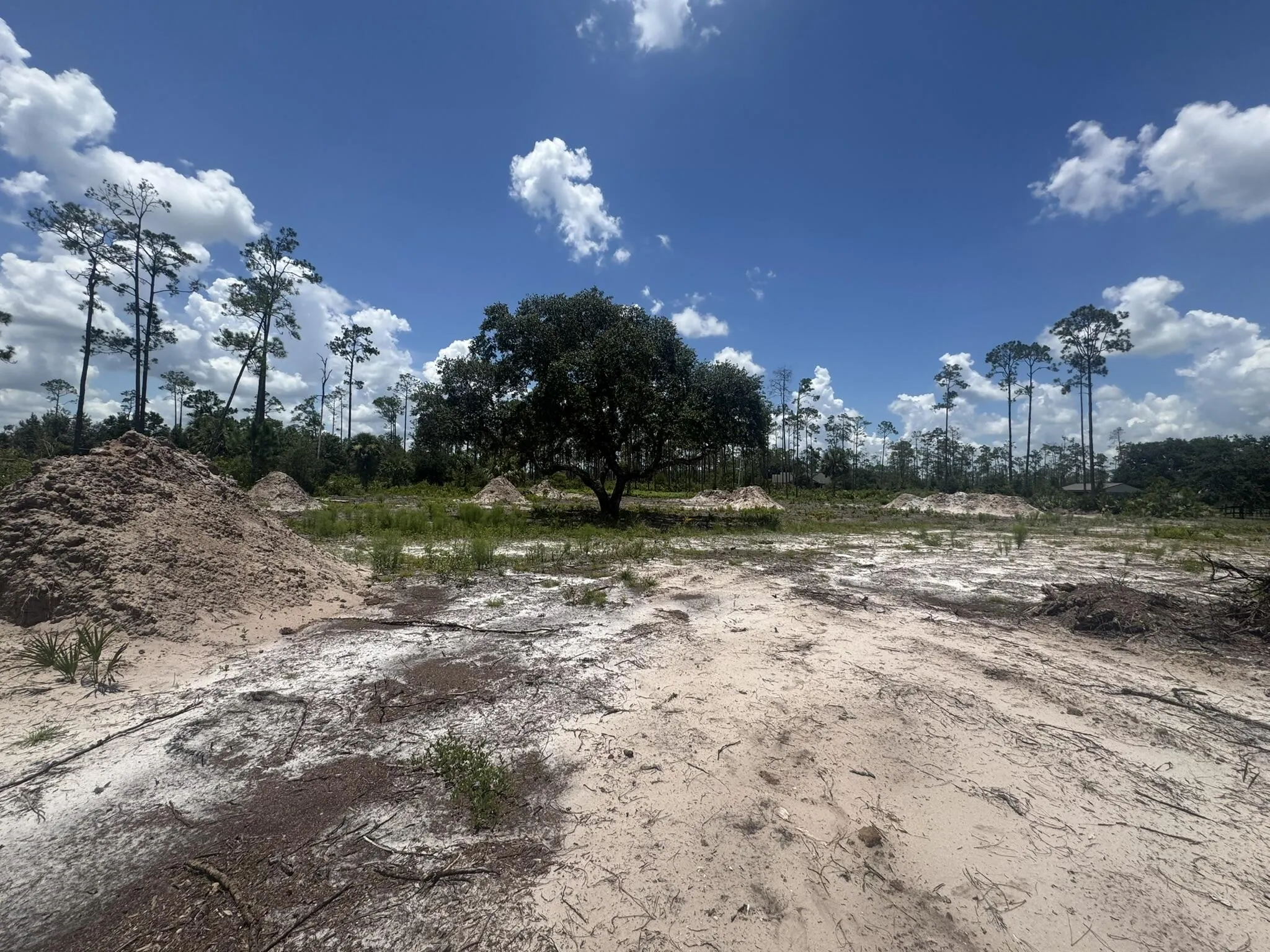 32801 US HIGHWAY 441, LOT 154 Highway N