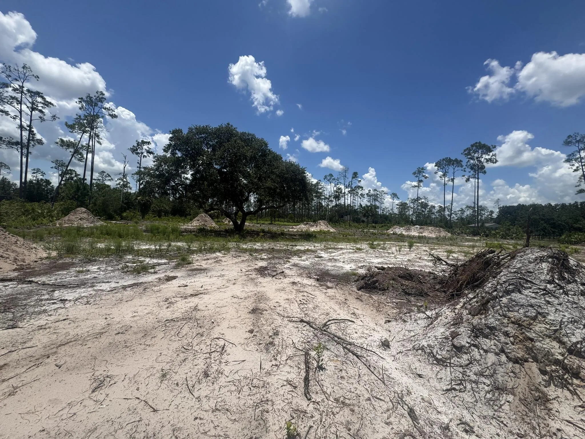 32801 US HIGHWAY 441, LOT 154 Highway N